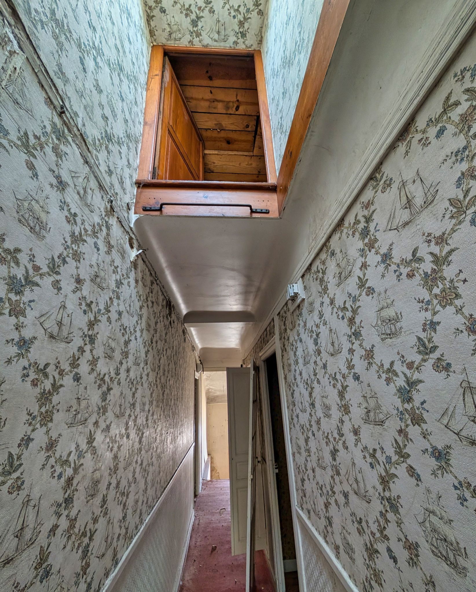 PXL 20250319 100848756