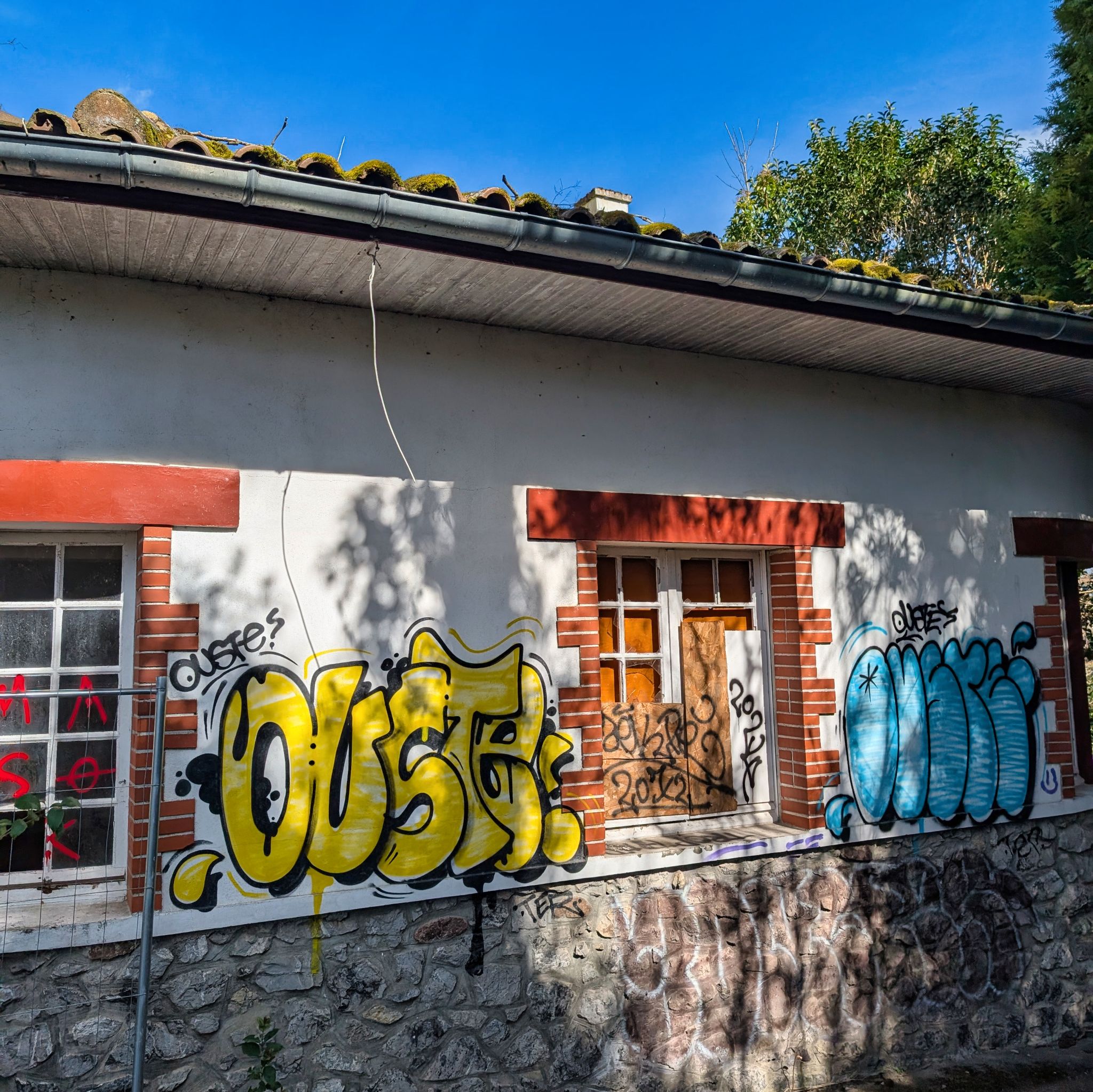 PXL 20250319 102048969