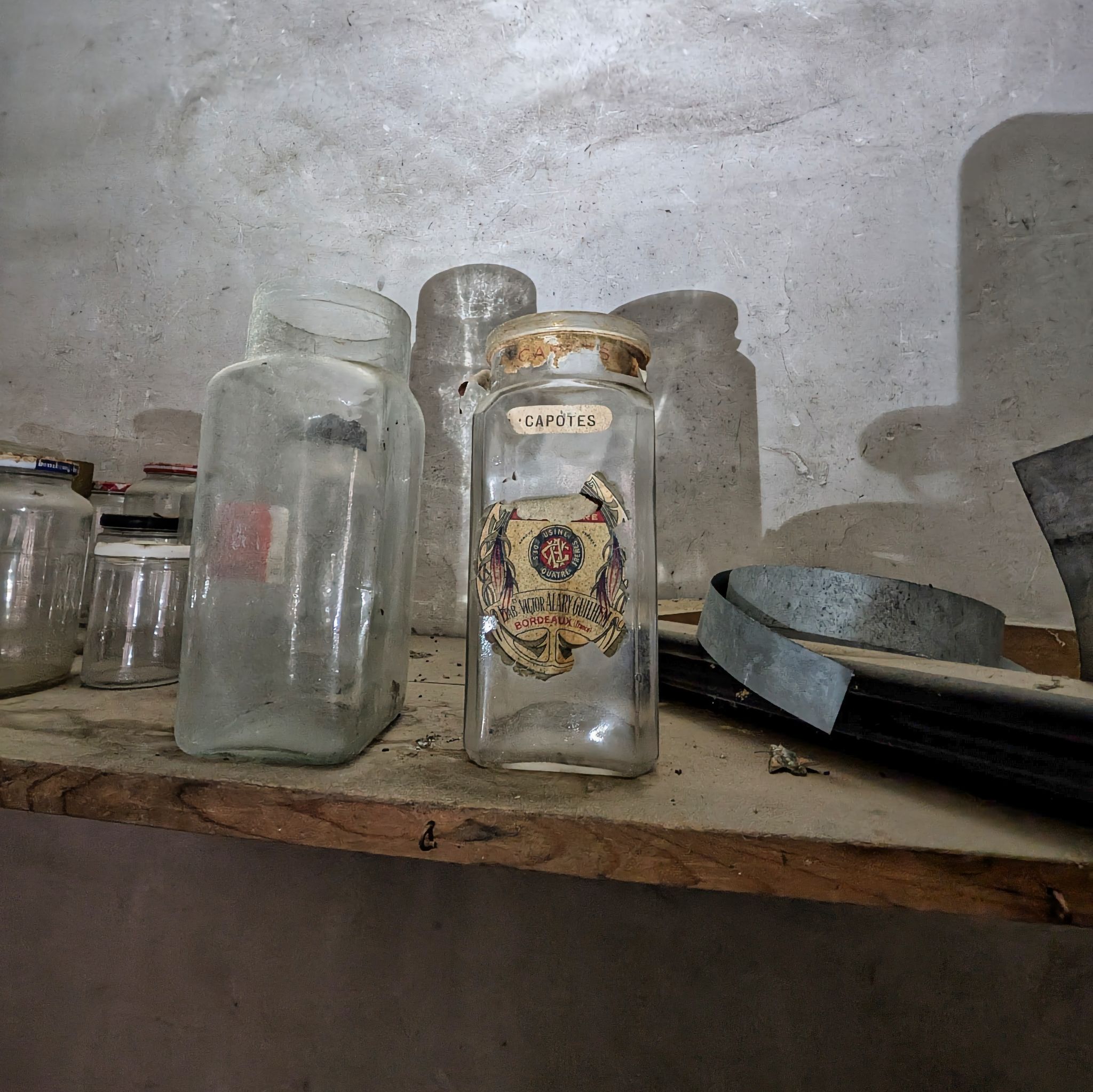 PXL 20250119 134921327