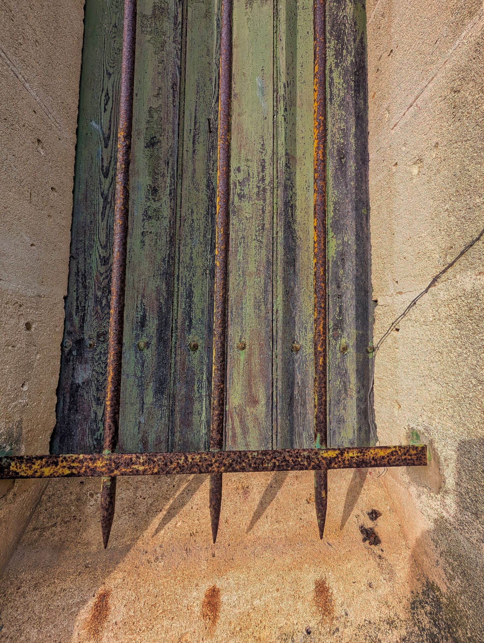 PXL 20250119 141951043