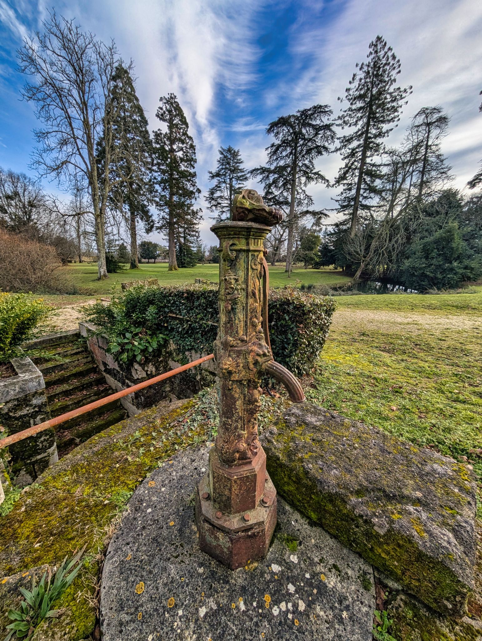 PXL 20250119 142455270