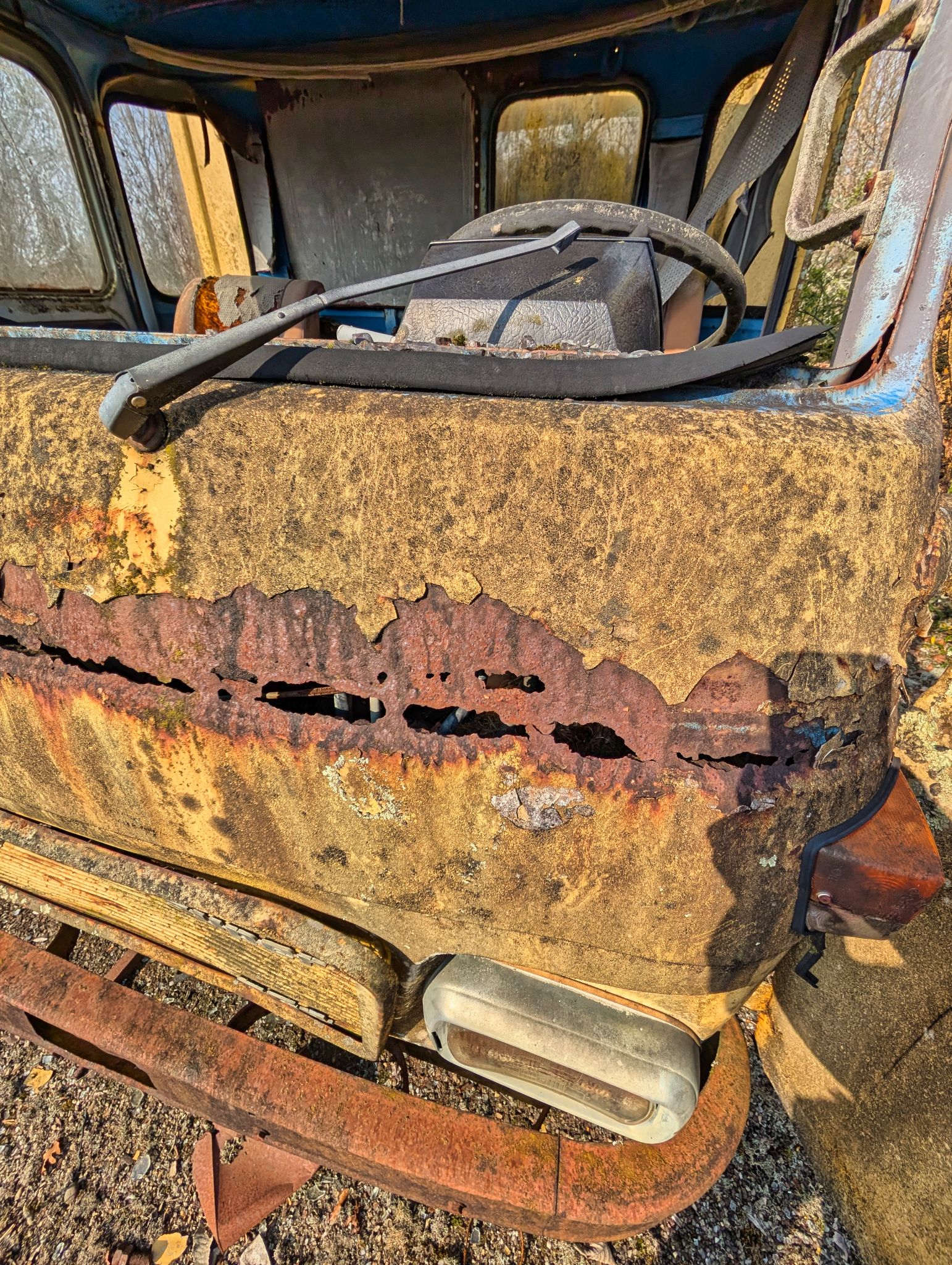 PXL 20250316 092544218