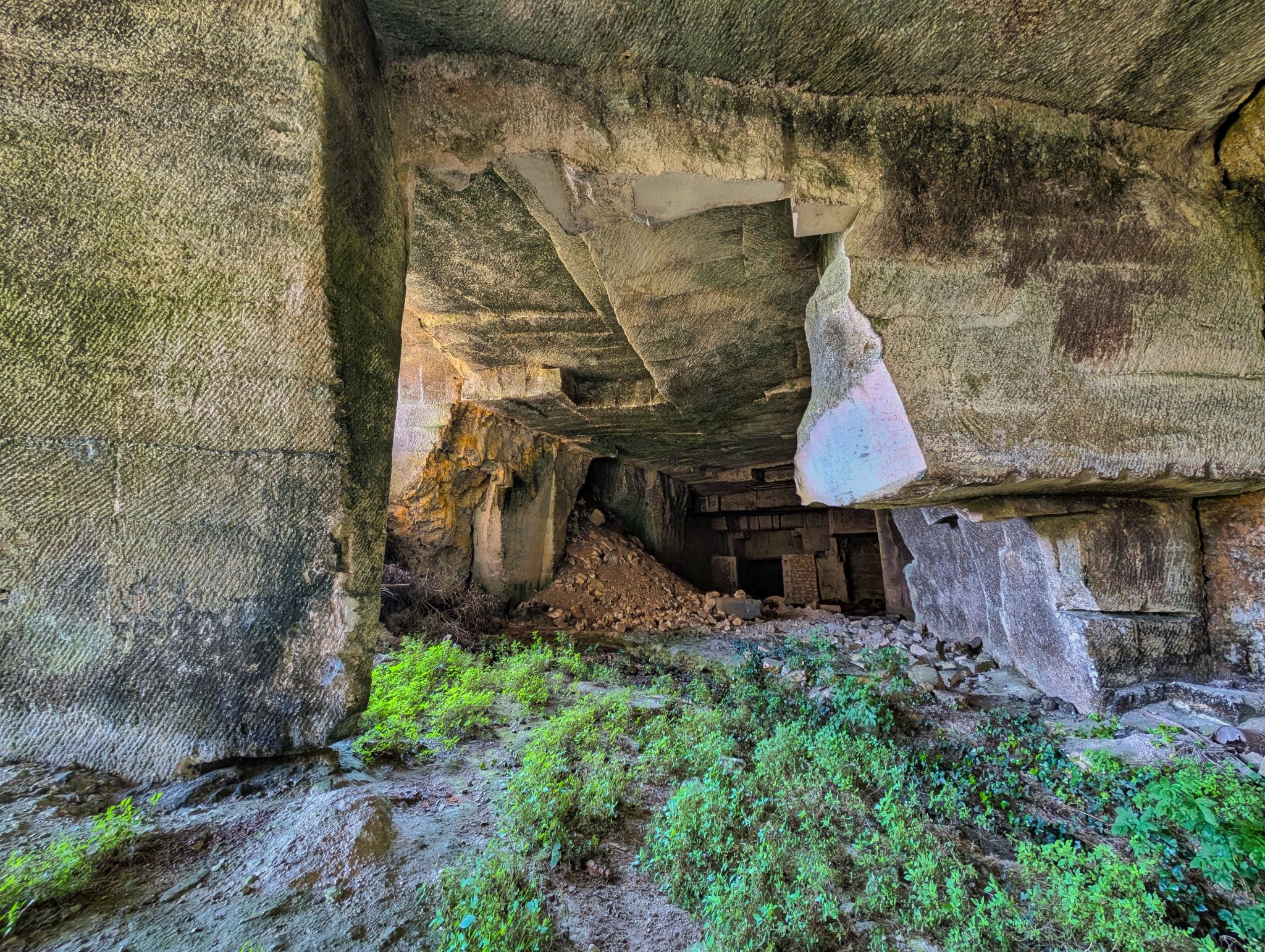 PXL 20250609 082302694