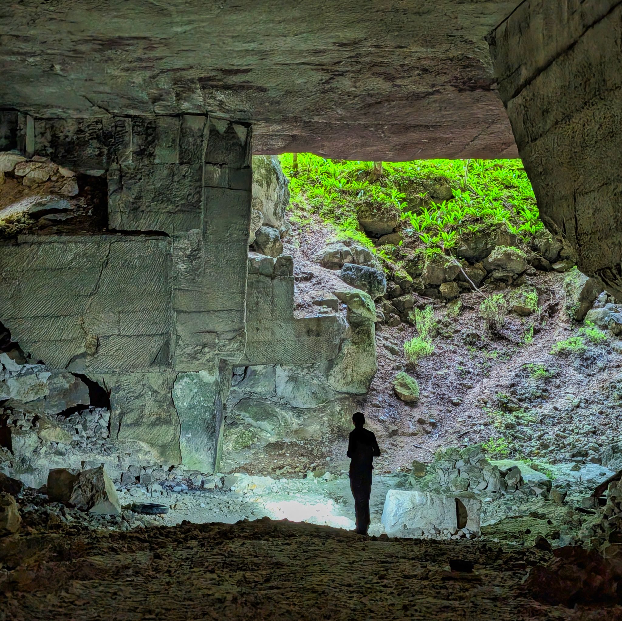 PXL 20250609 082717659