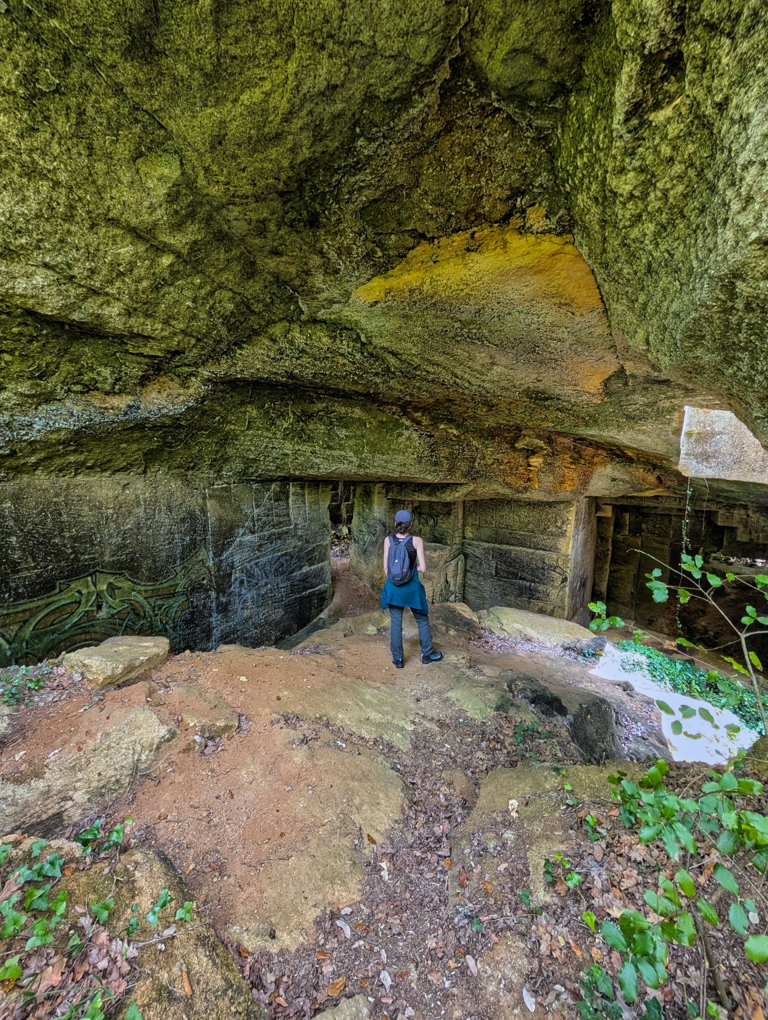 PXL 20250609 110711275