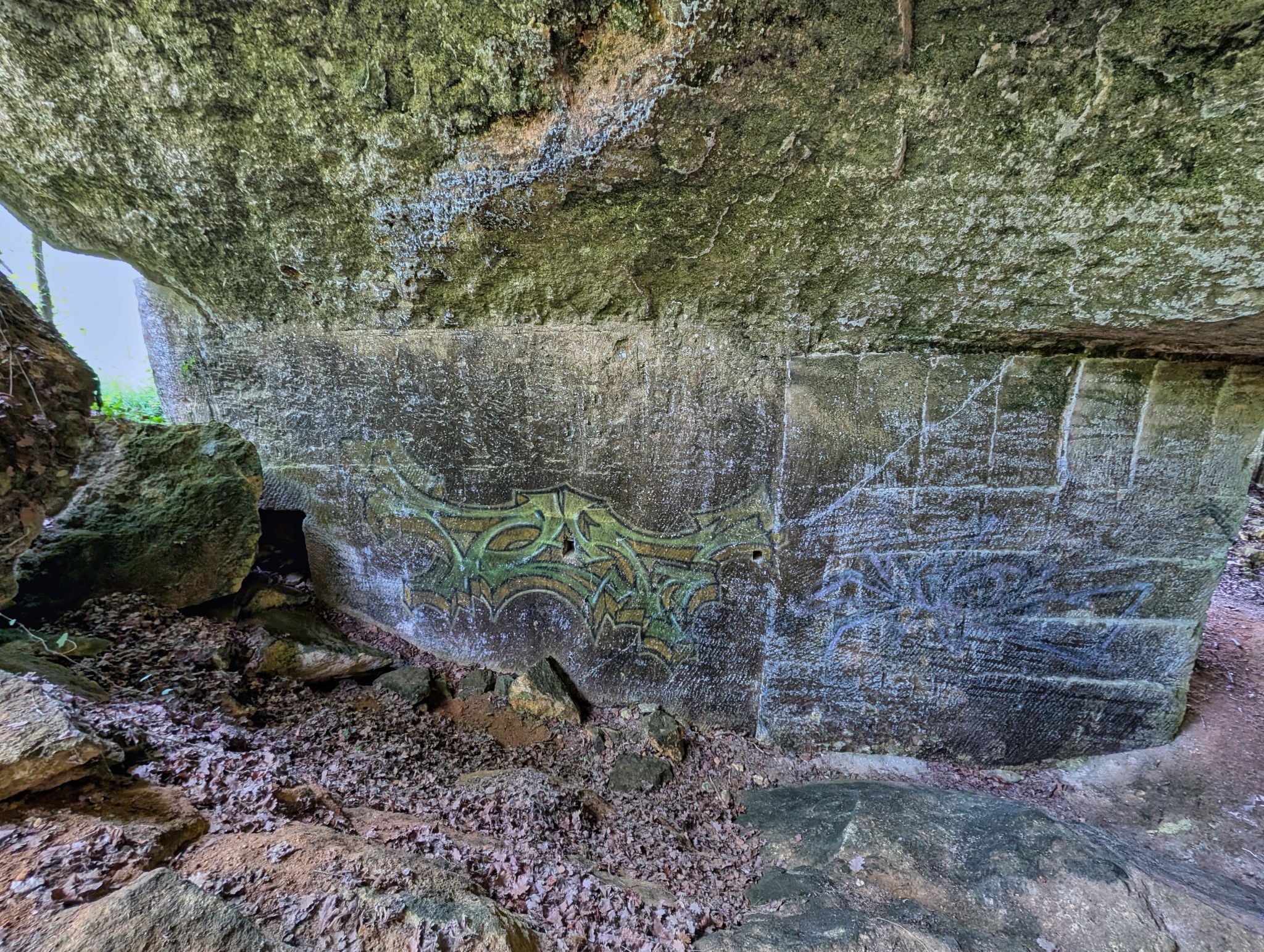 PXL 20250609 110746889