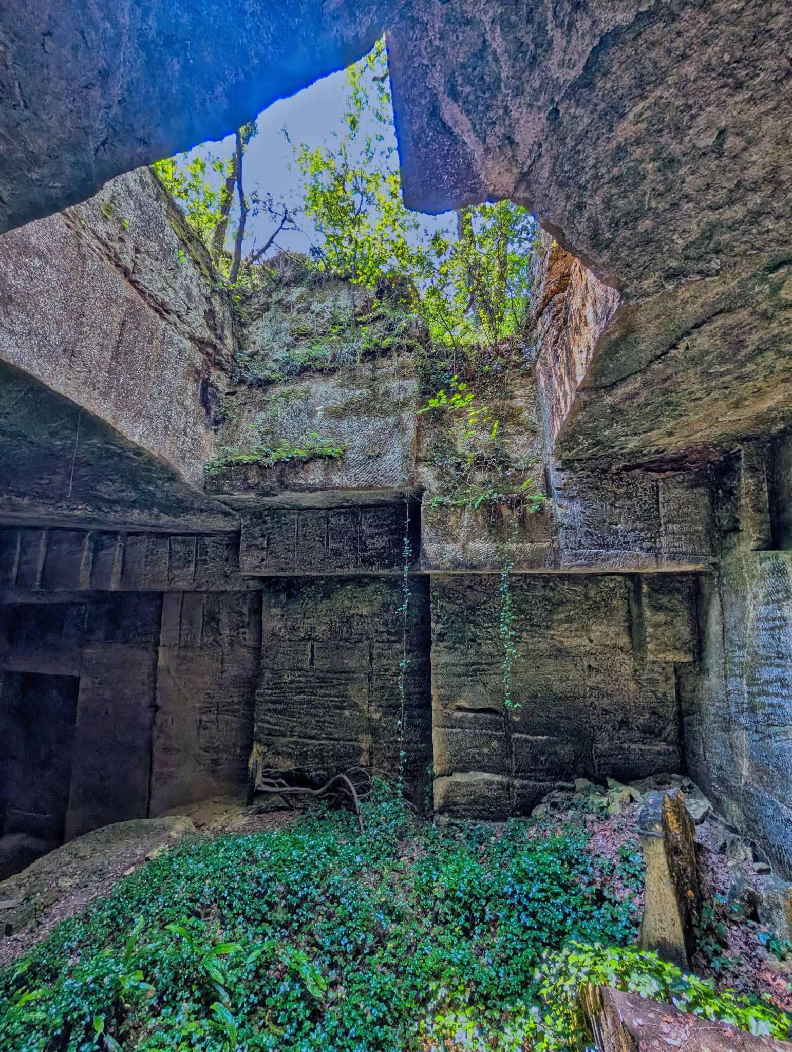 PXL 20250609 110813807