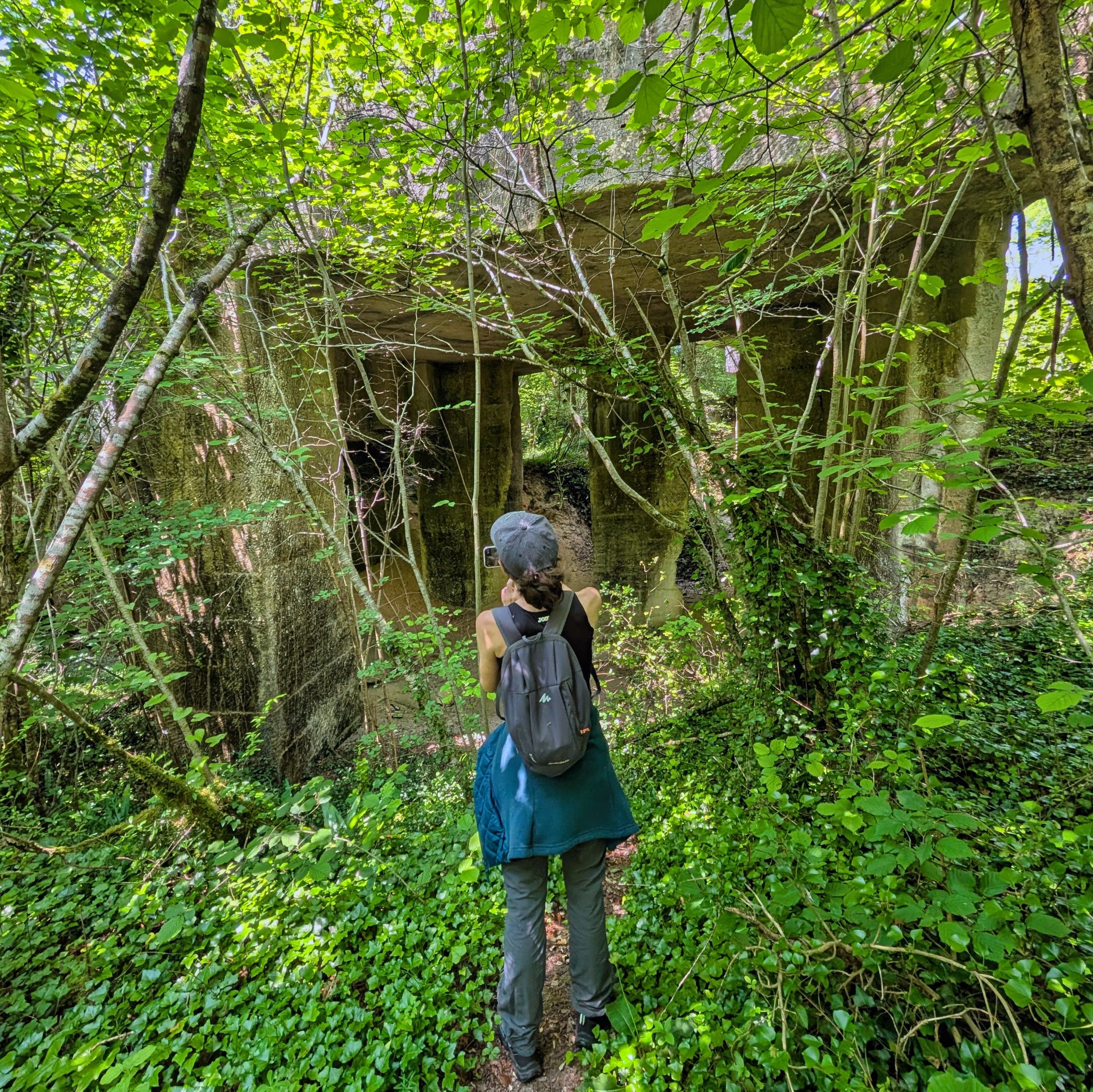 PXL 20250609 113319277