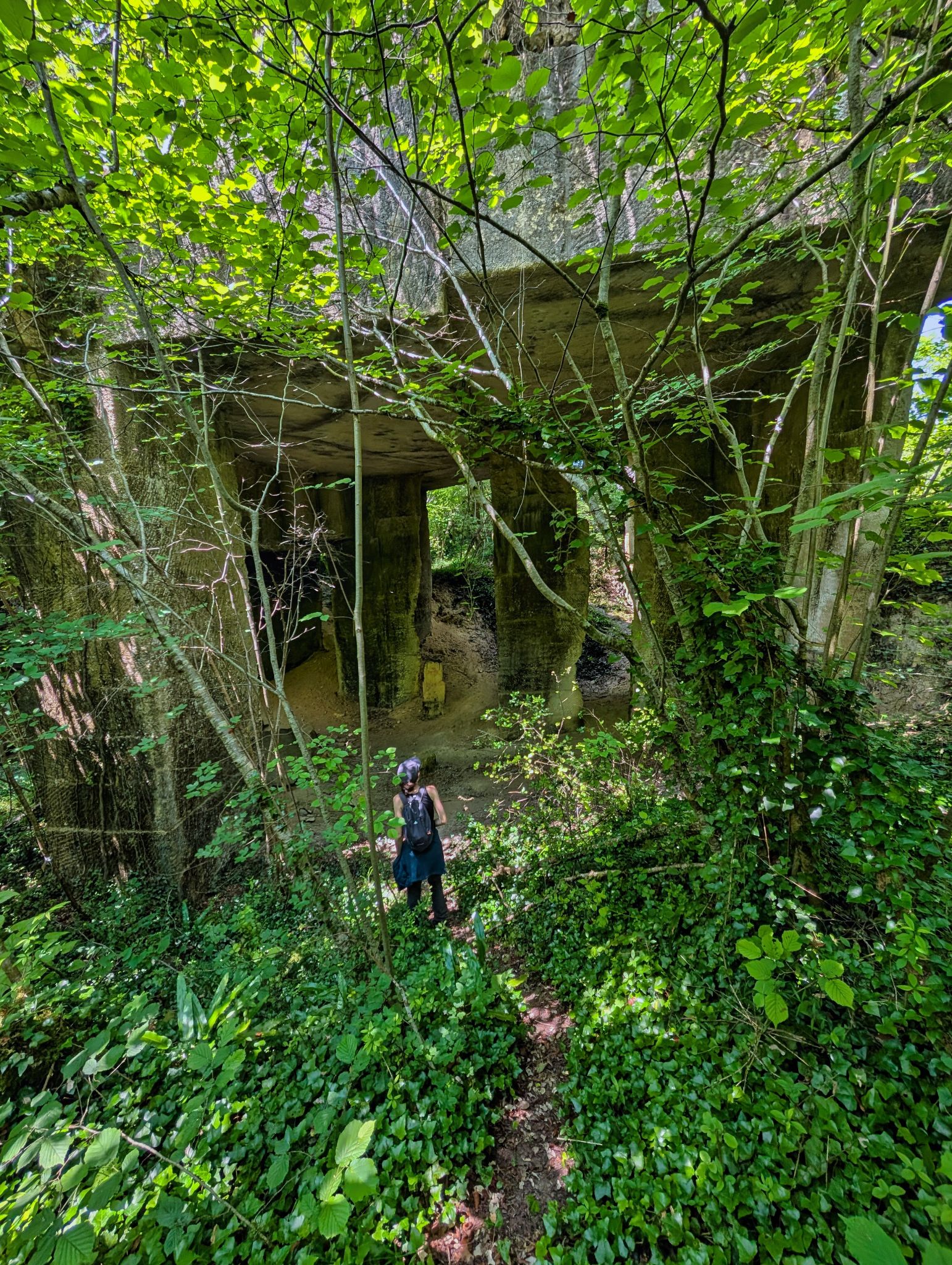 PXL 20250609 113326160