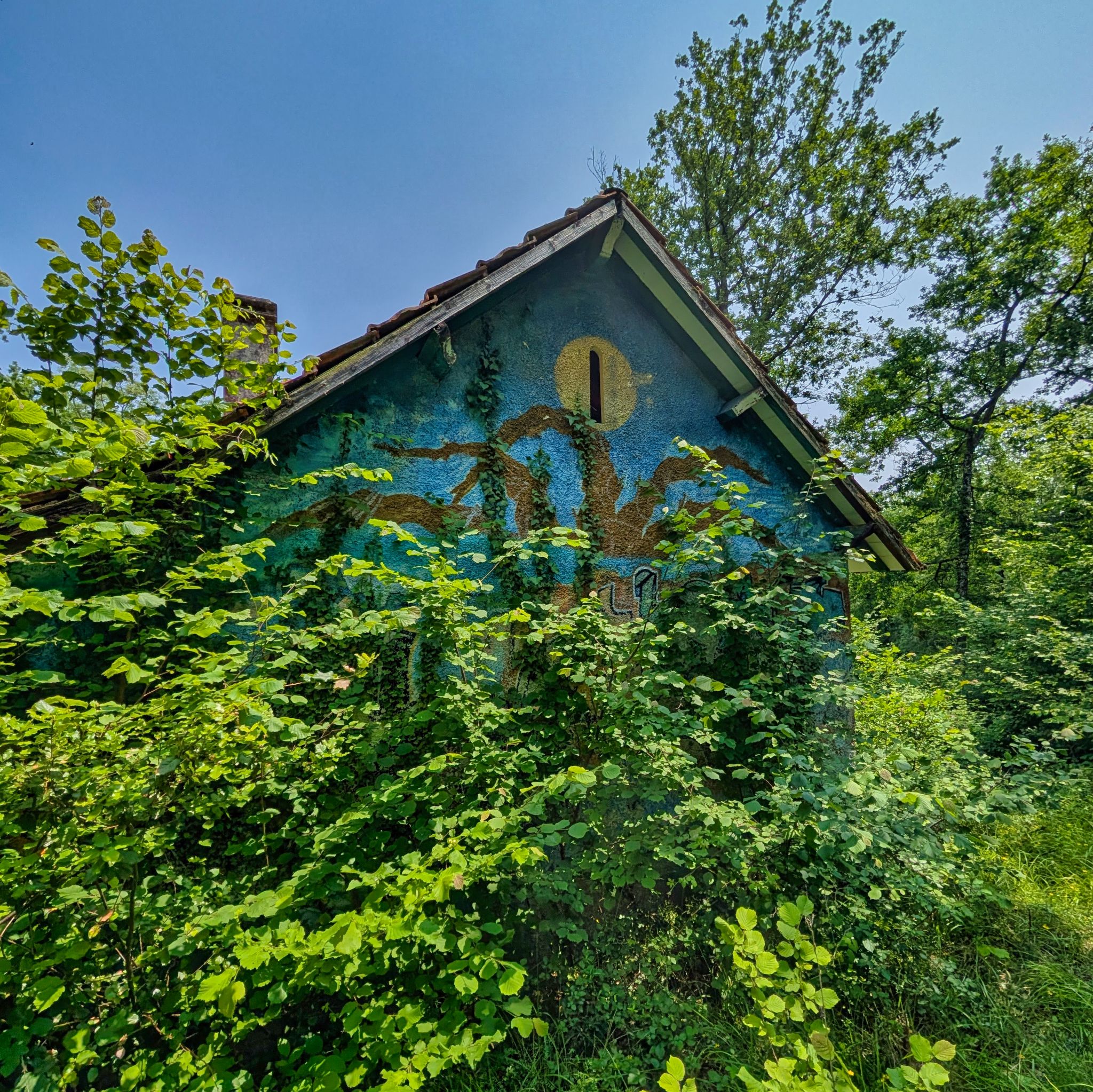 PXL 20250609 122153906