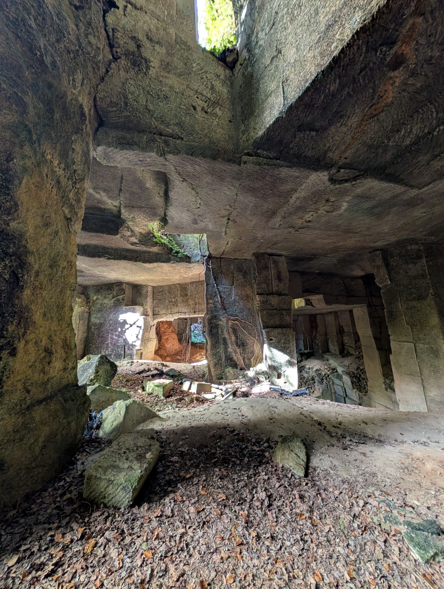 PXL 20251109 121455837