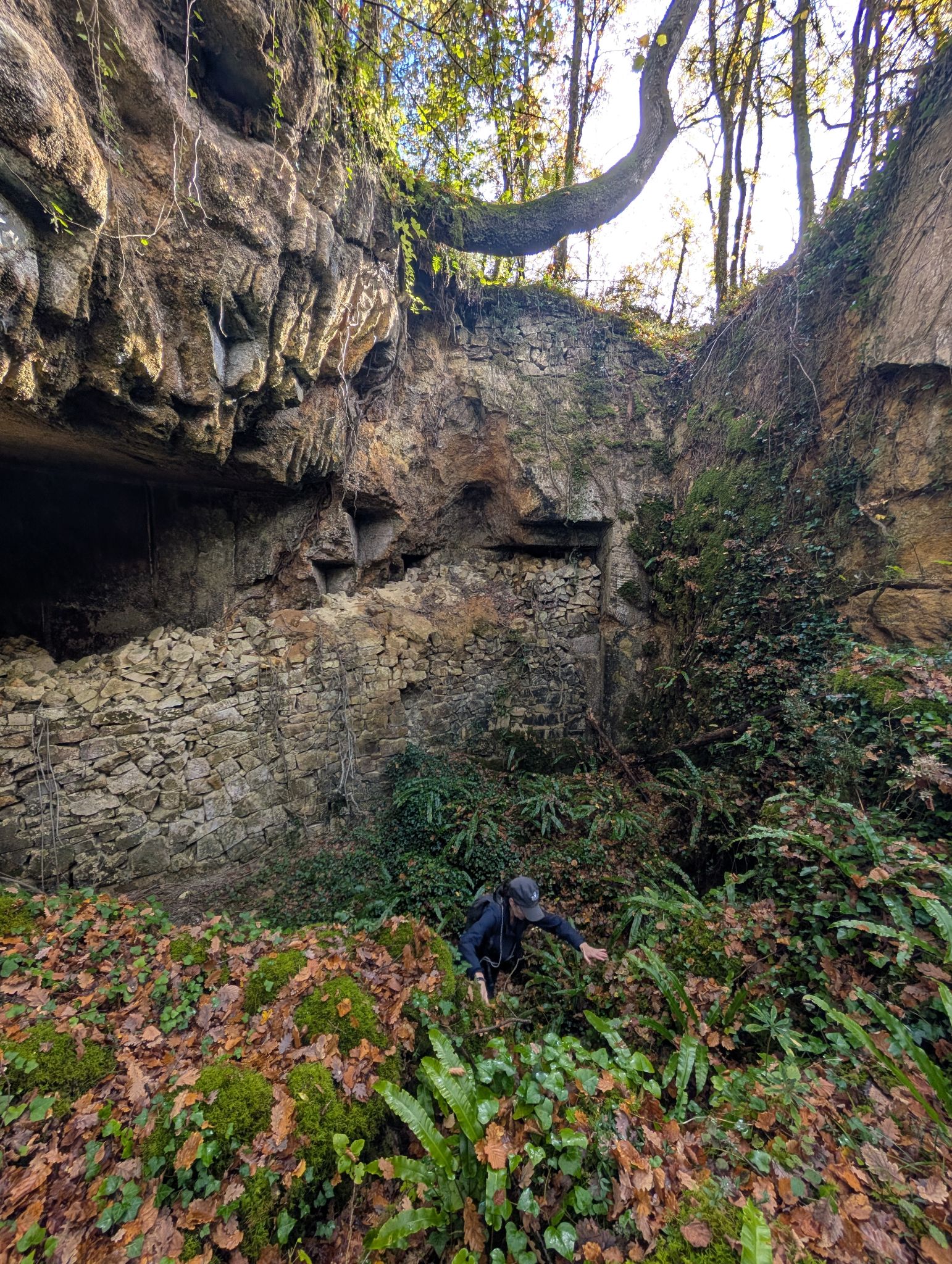 PXL 20251109 123306247