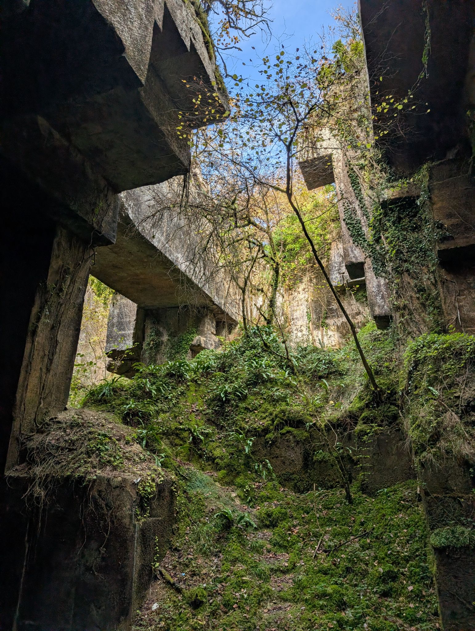 PXL 20251109 133315636.MP