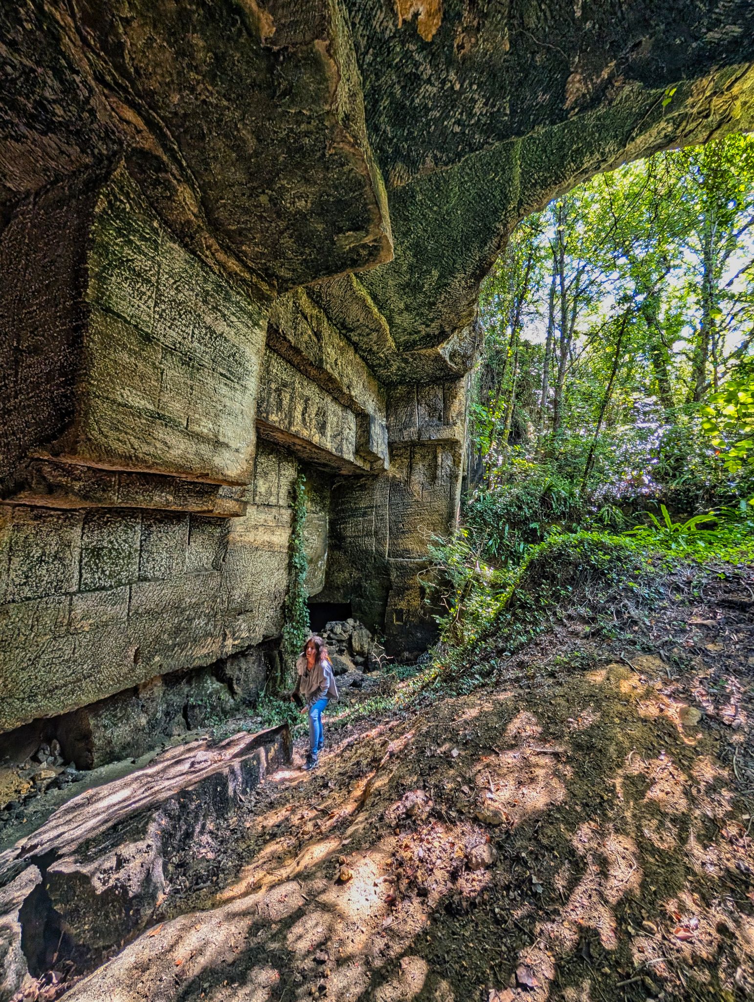 PXL 20250824 102605733