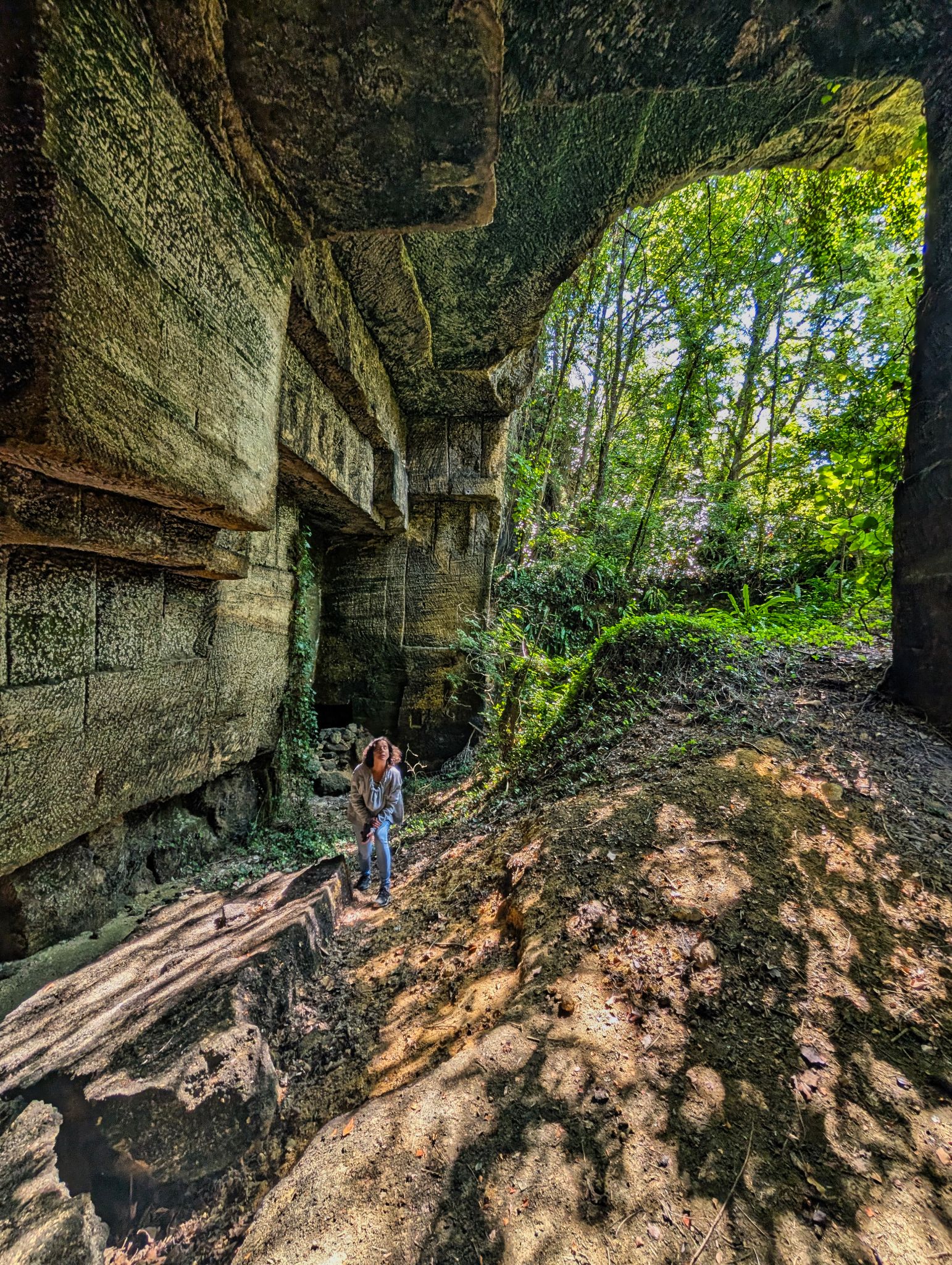 PXL 20250824 102610597