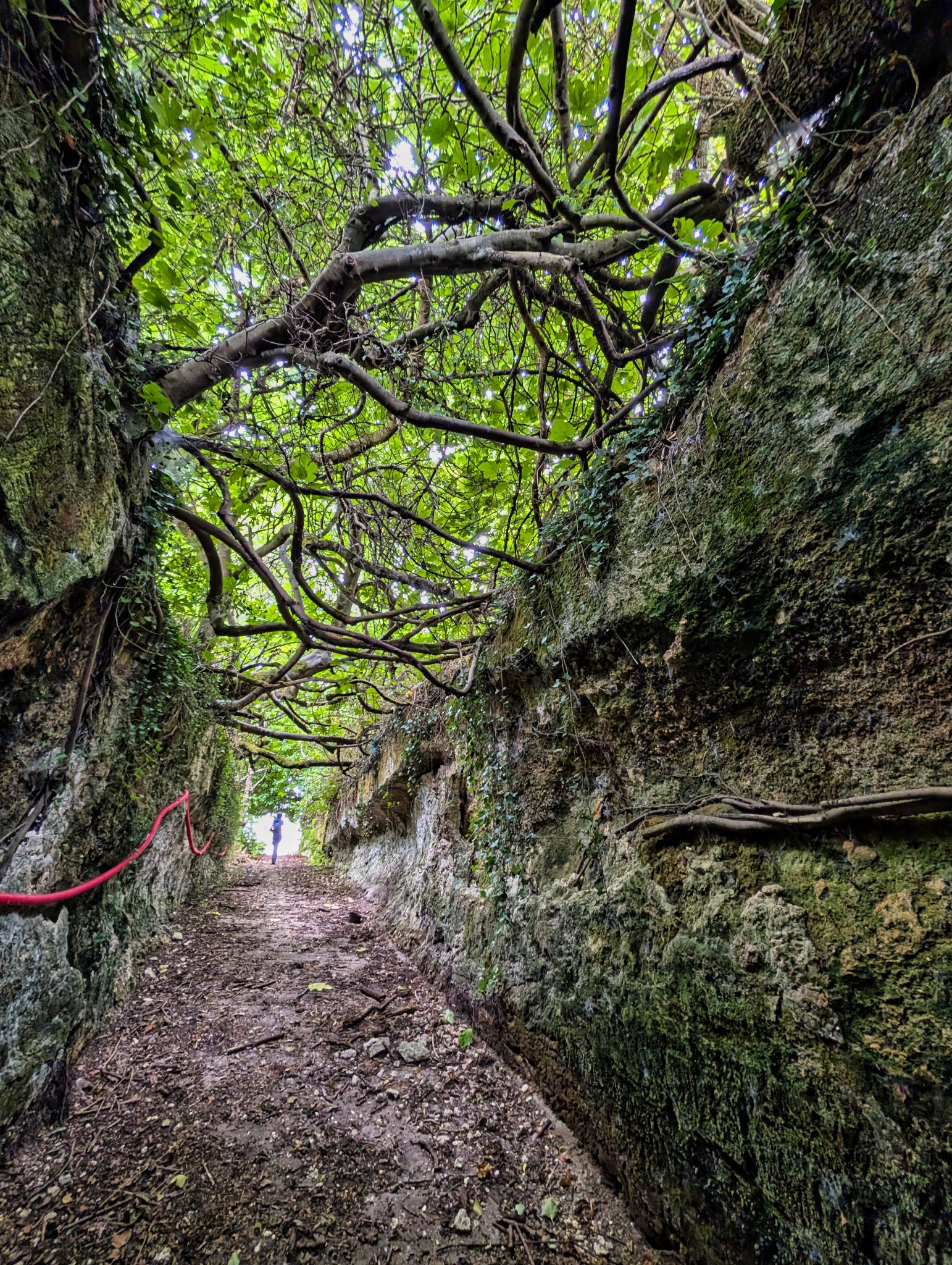 PXL 20250706 103815700