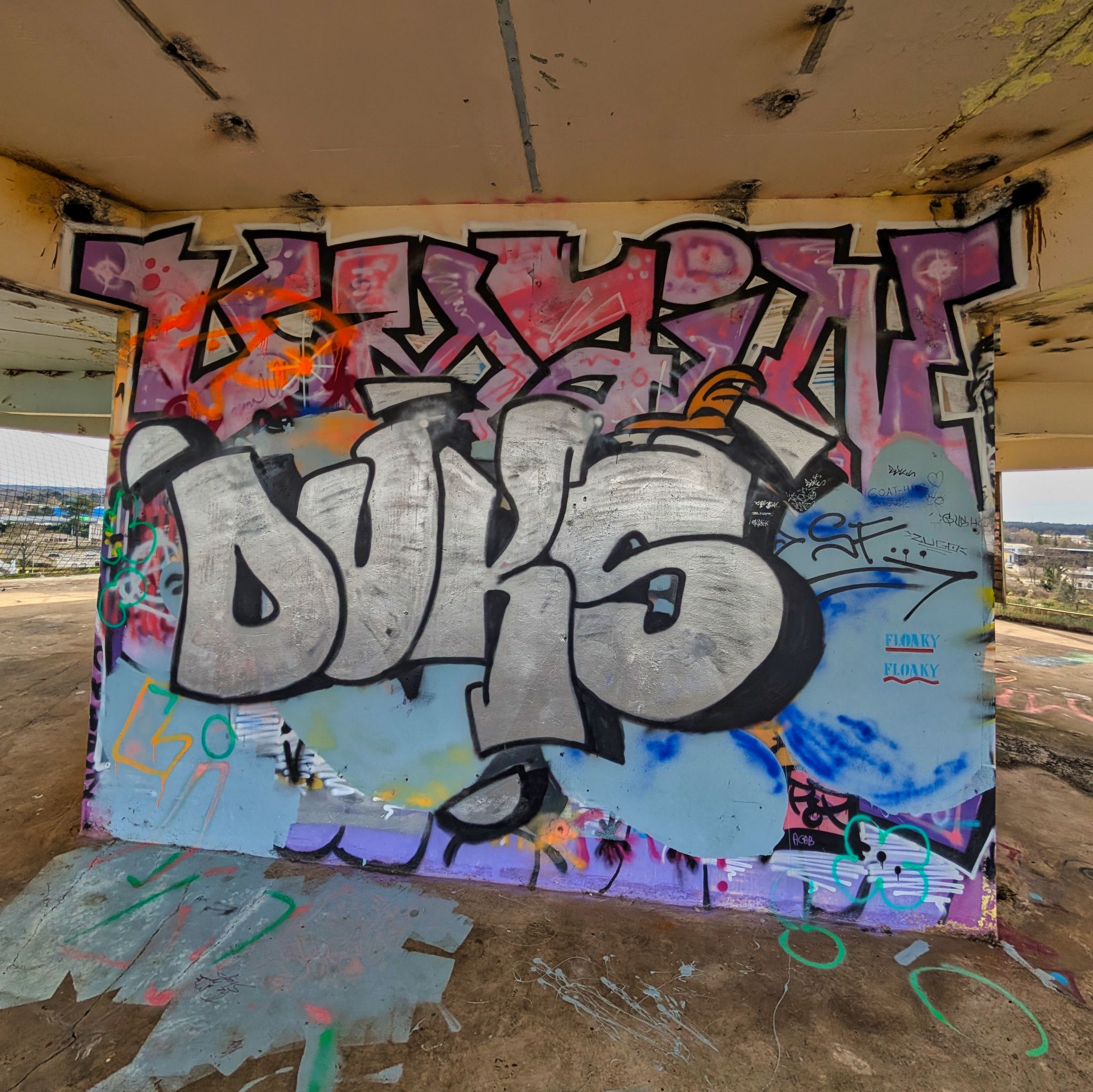 PXL 20250308 133526449