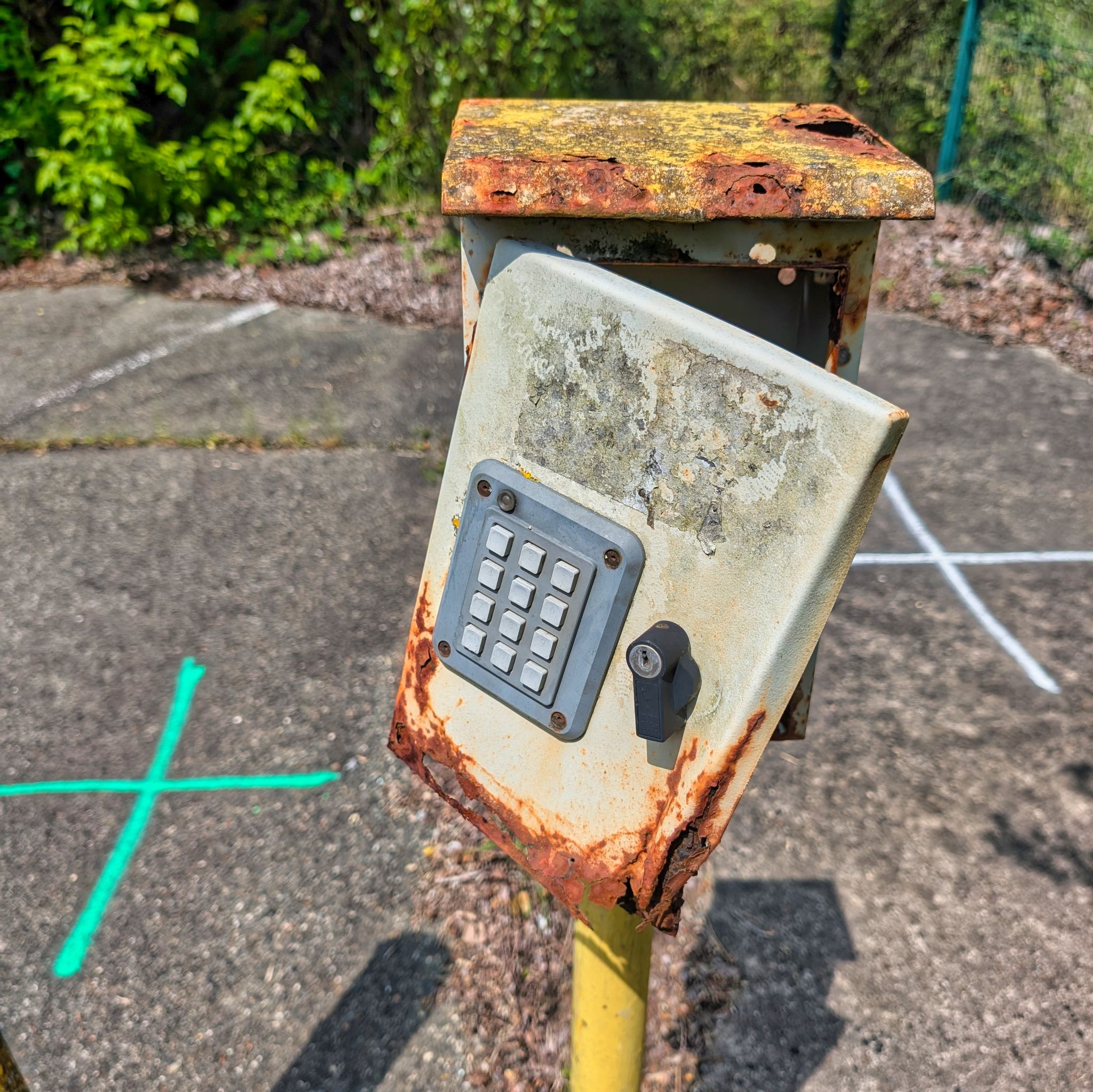 PXL 20250427 113218403