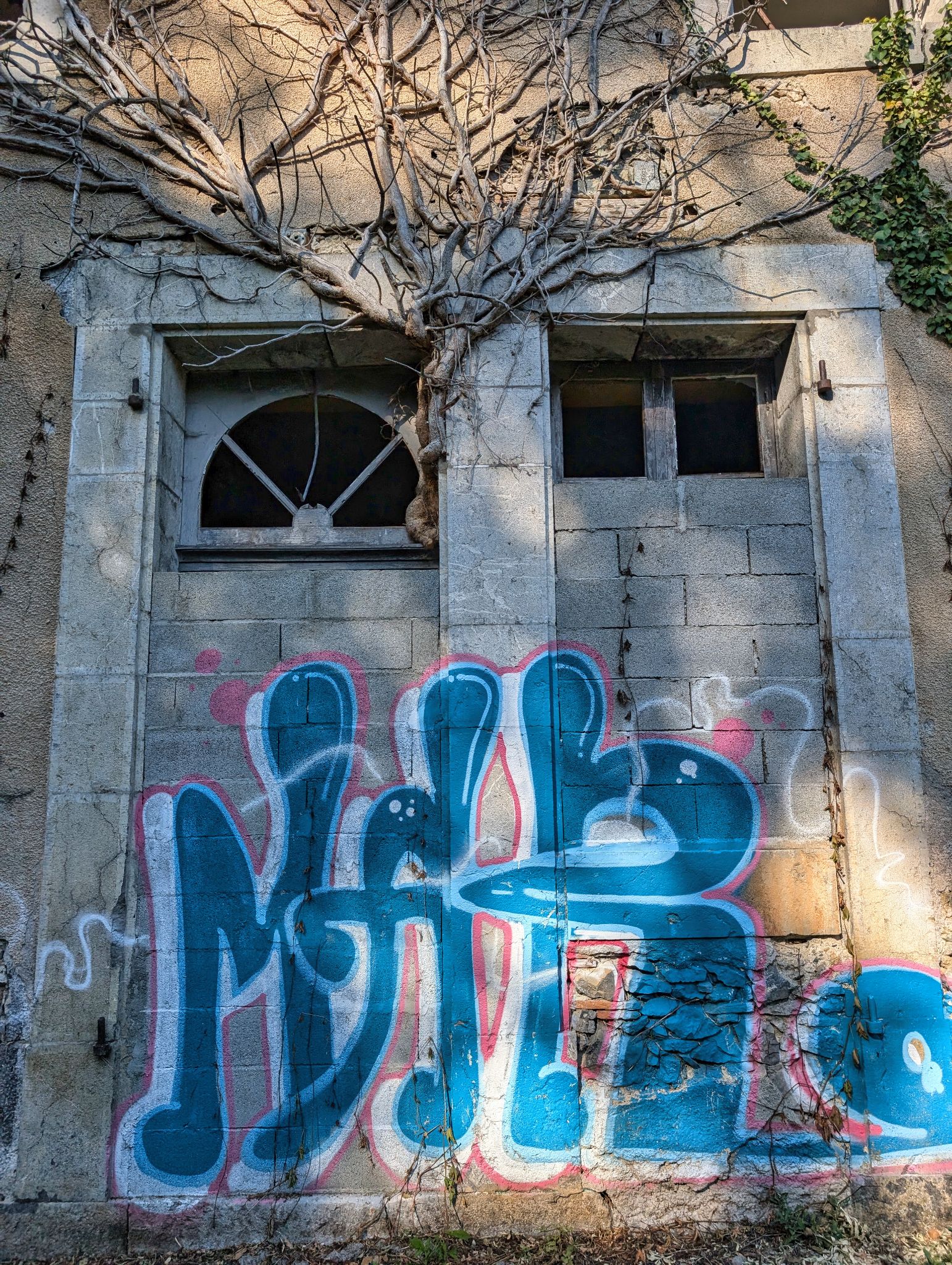 PXL 20251012 135844506