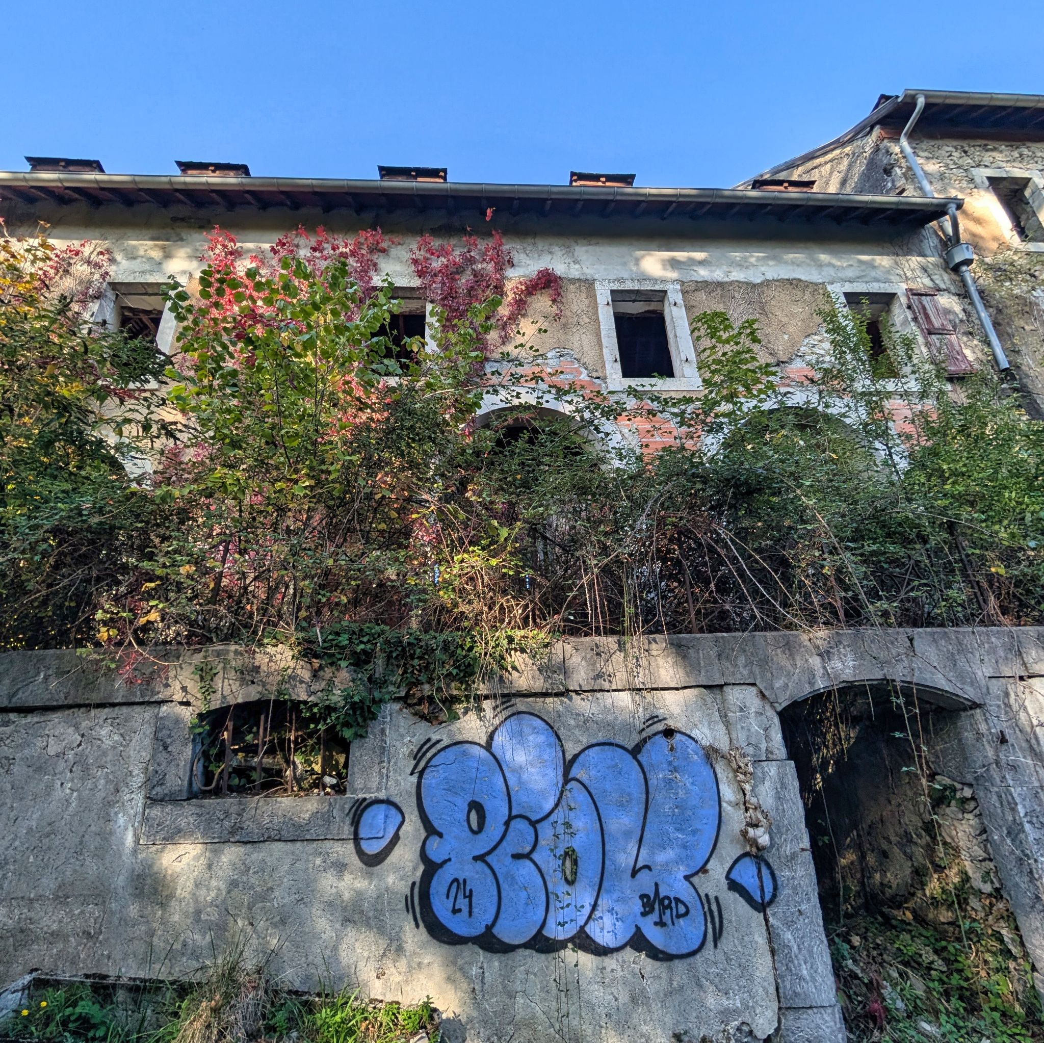 PXL 20251012 140035438