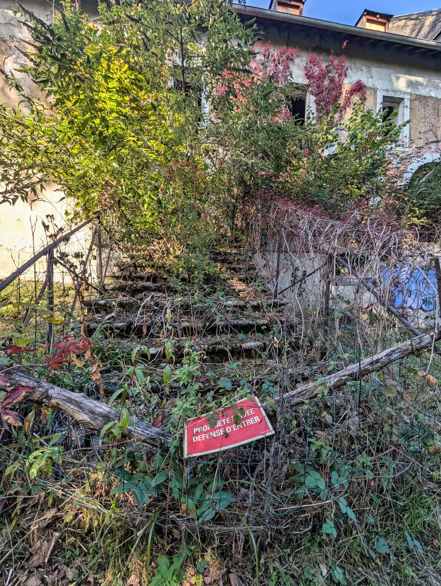 PXL 20251012 140049999