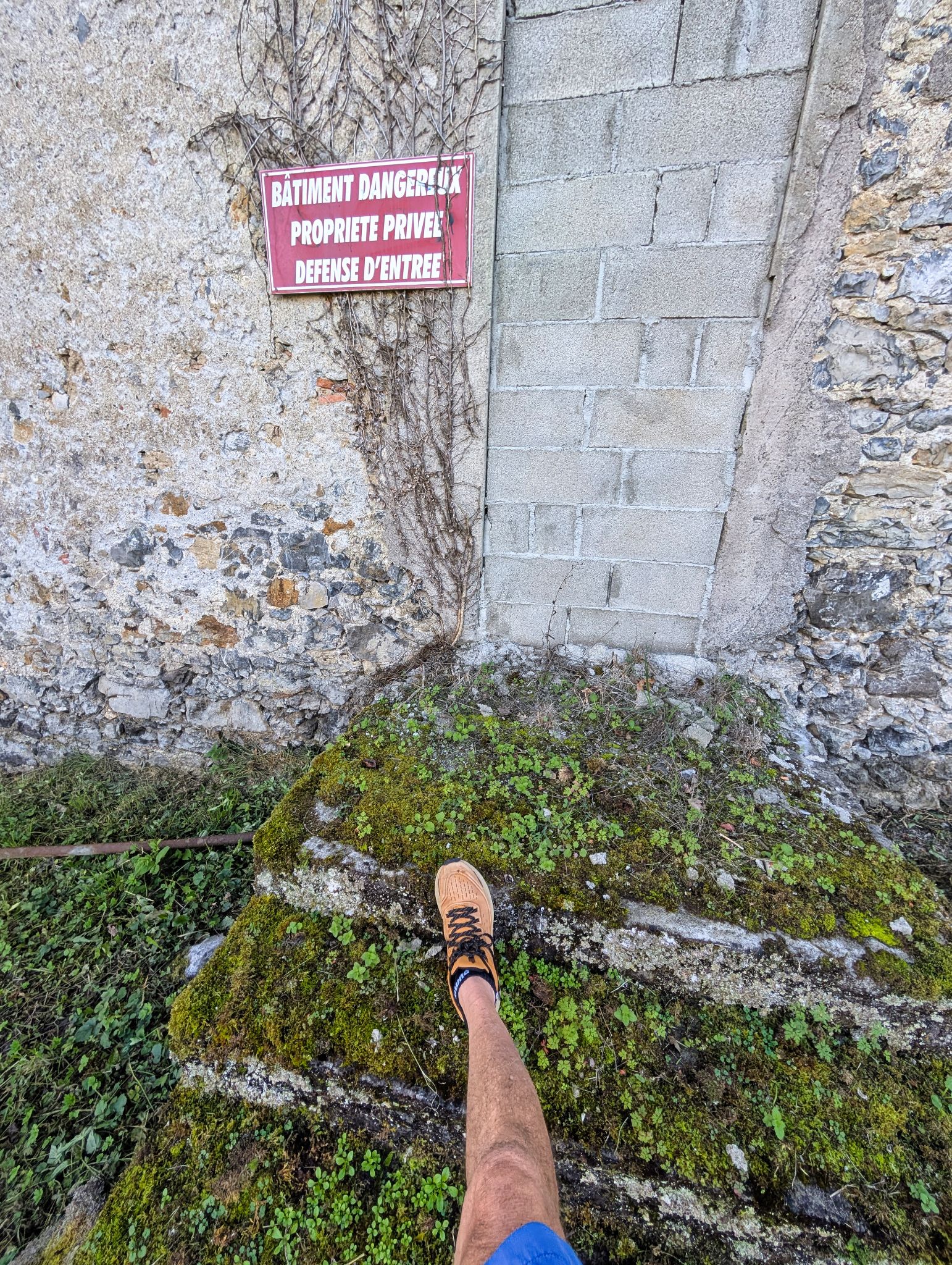 PXL 20251012 140229423