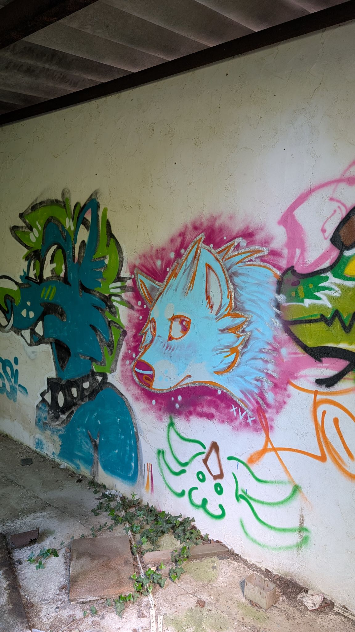 PXL 20260416 131504329