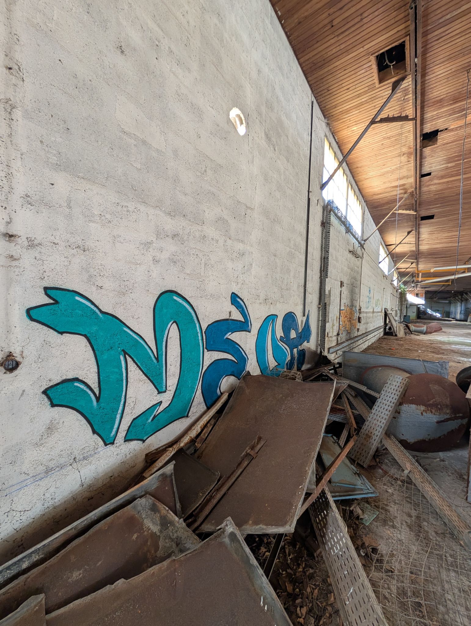 PXL 20260315 151224387