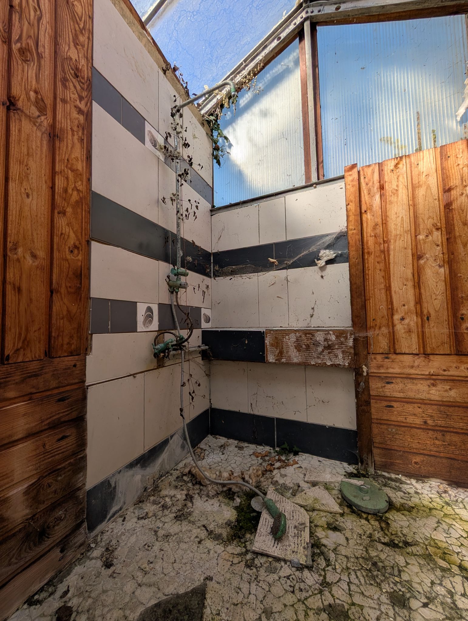 PXL 20260315 143123188