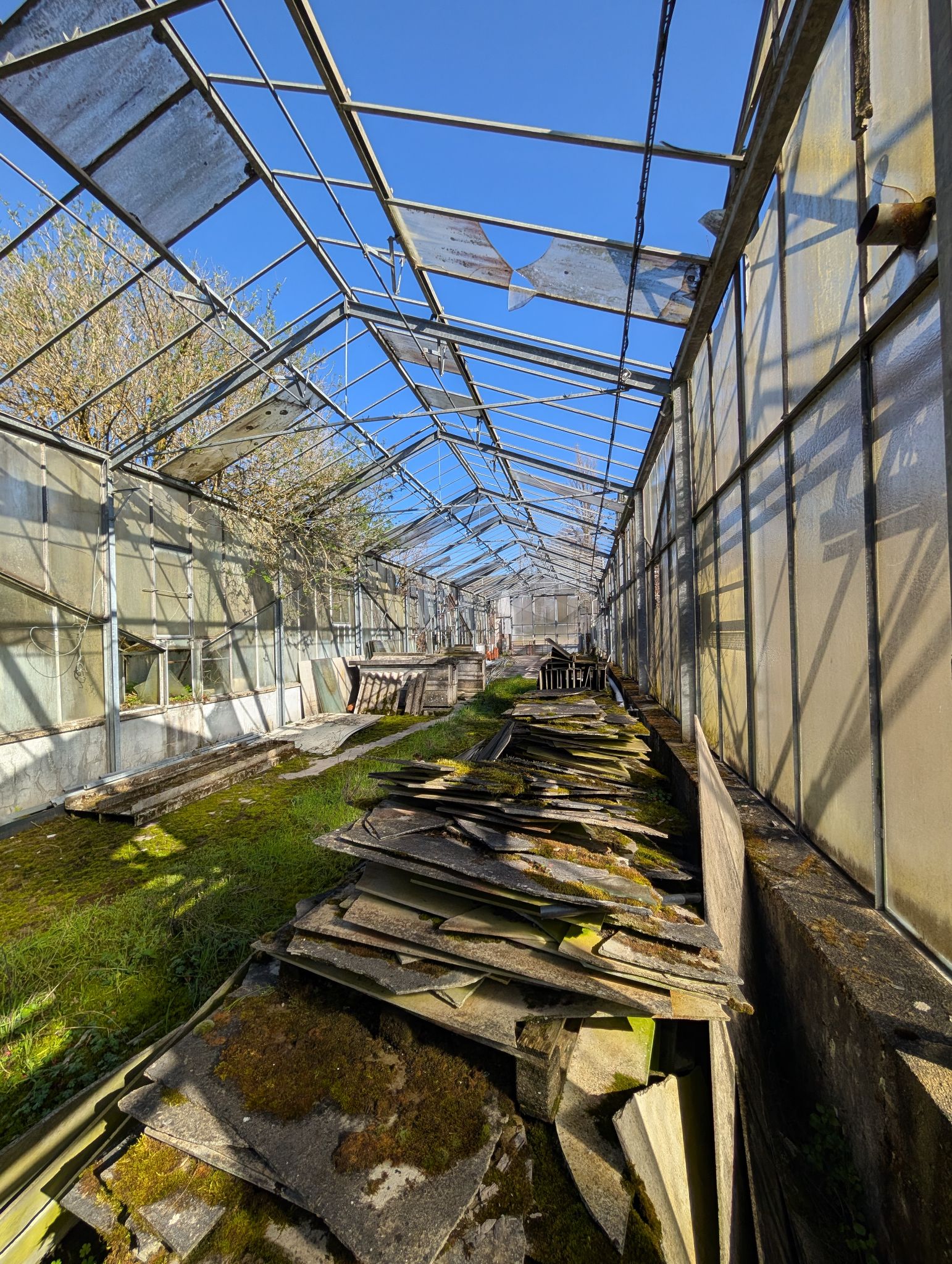 PXL 20260315 143859984