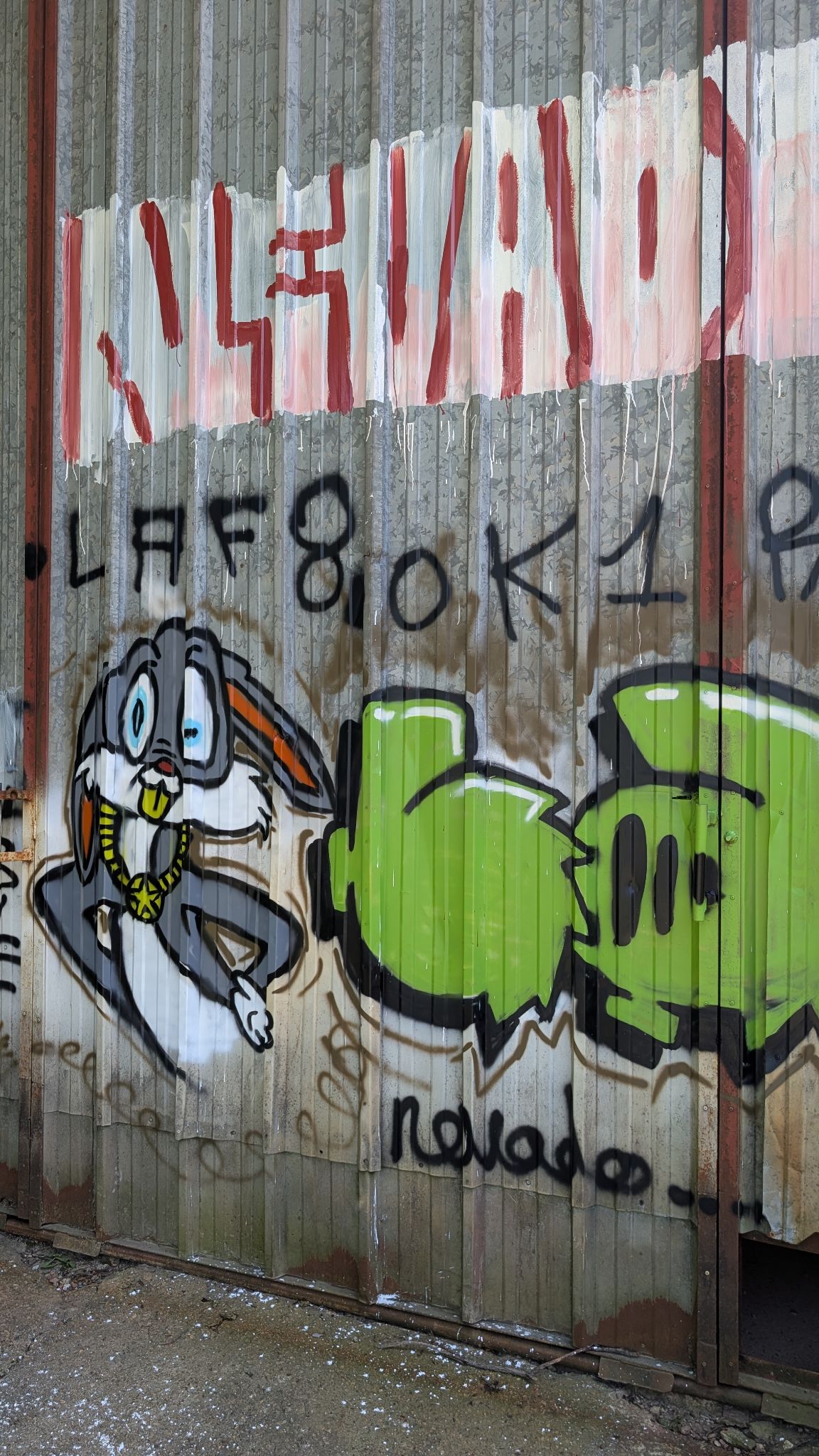 PXL 20260427 114134204