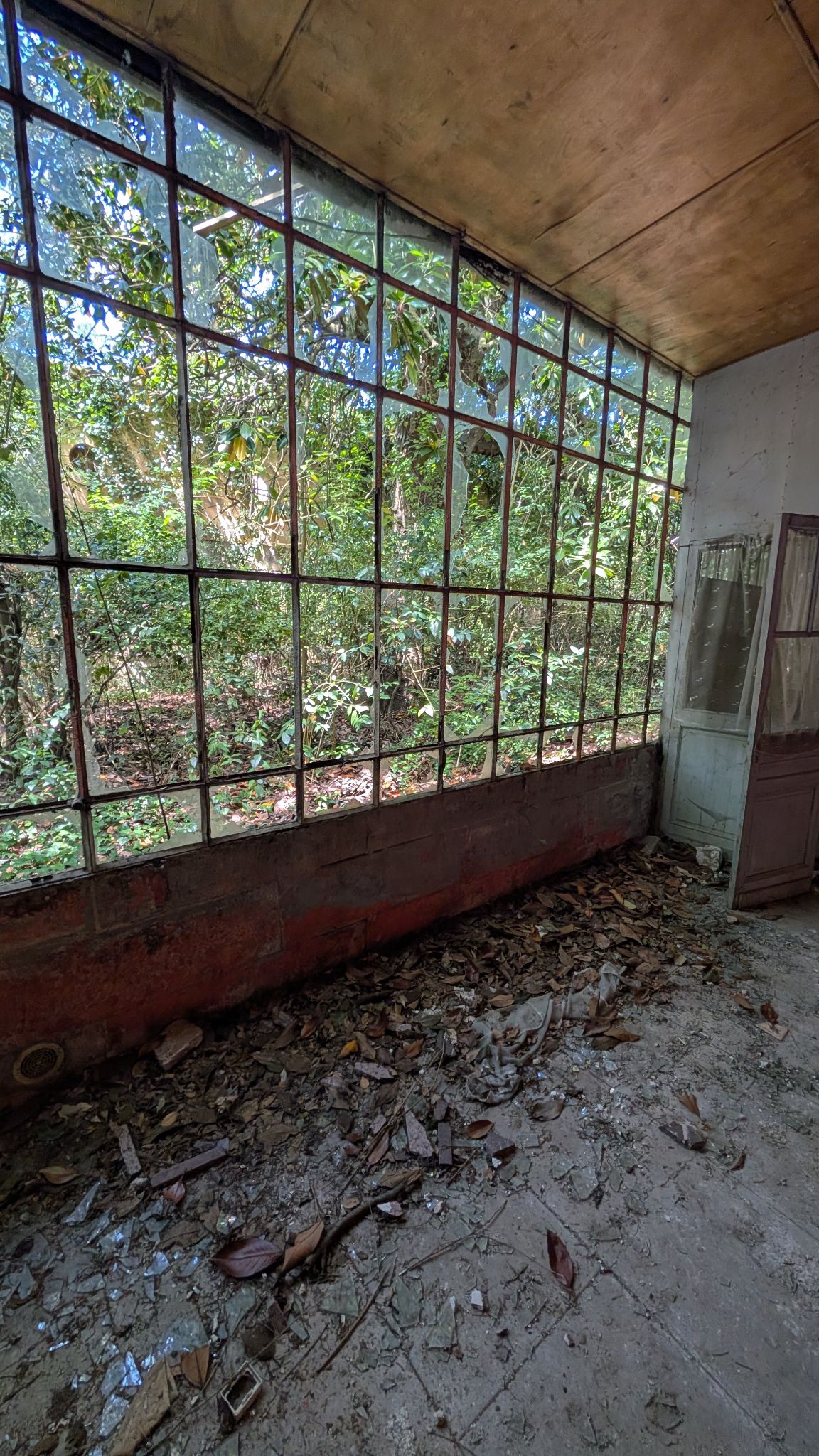 PXL 20260427 123750021.MP