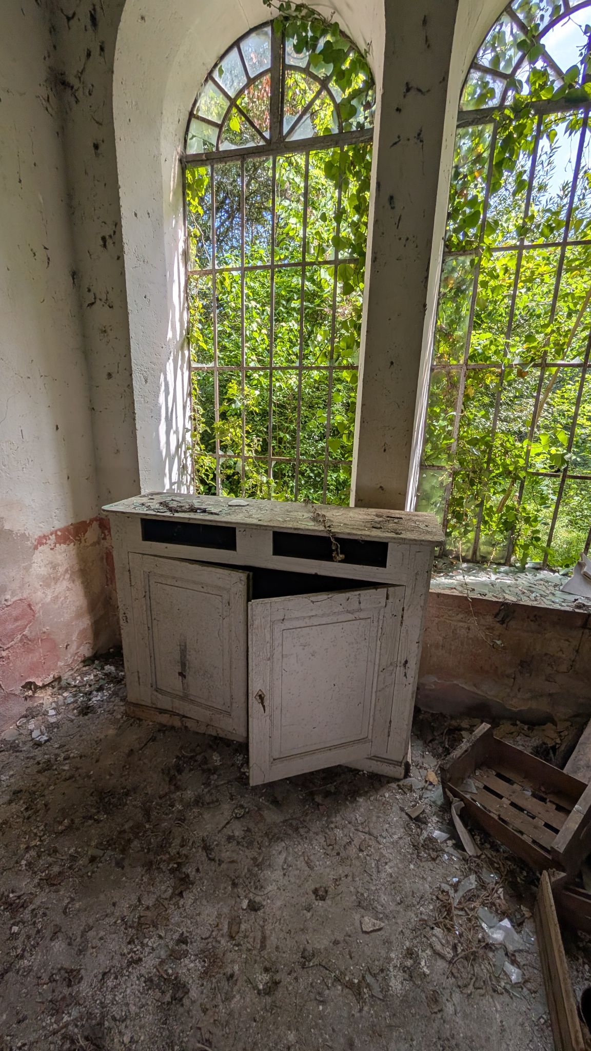 PXL 20260427 125211374