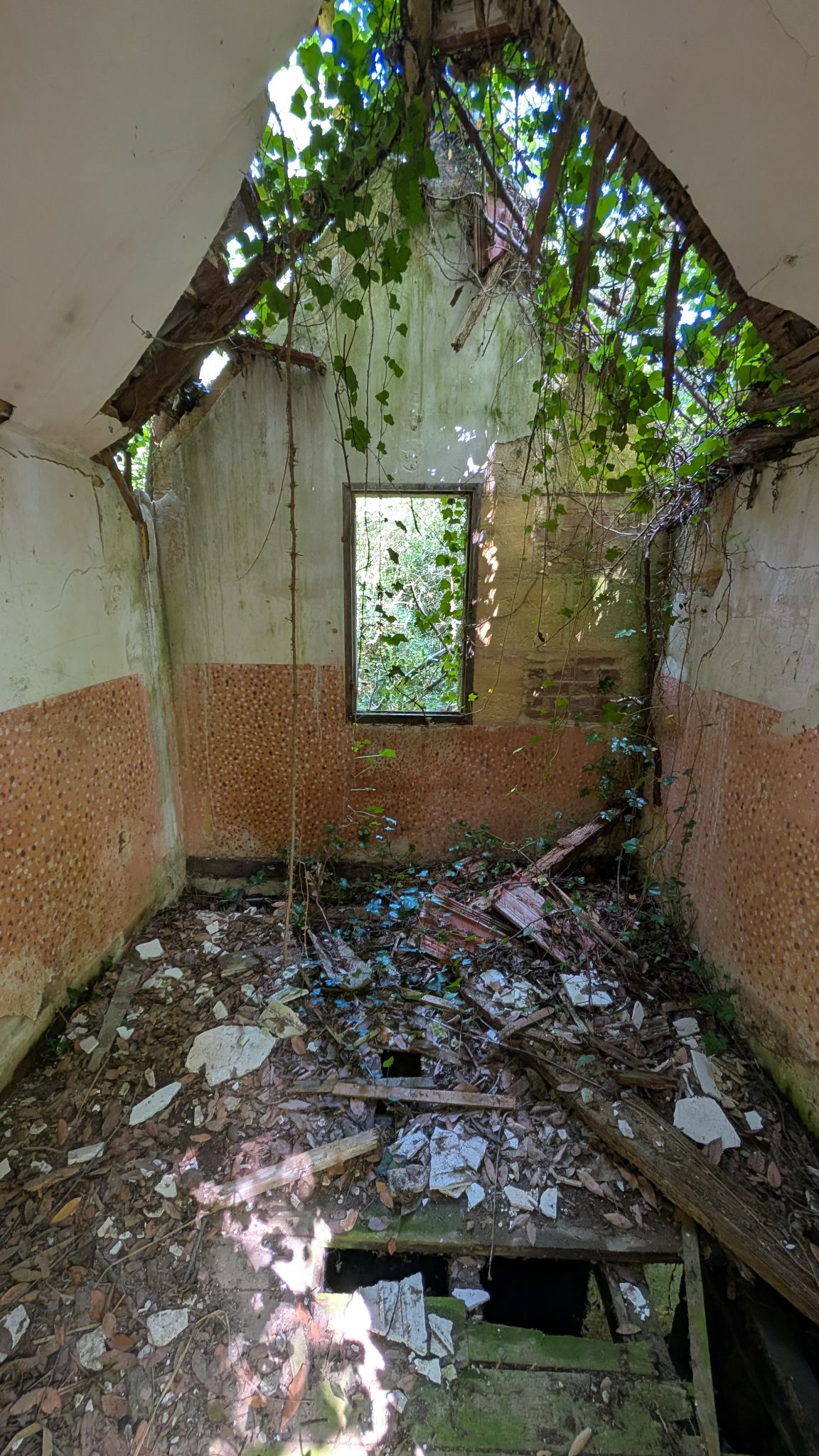 PXL 20260427 125819493