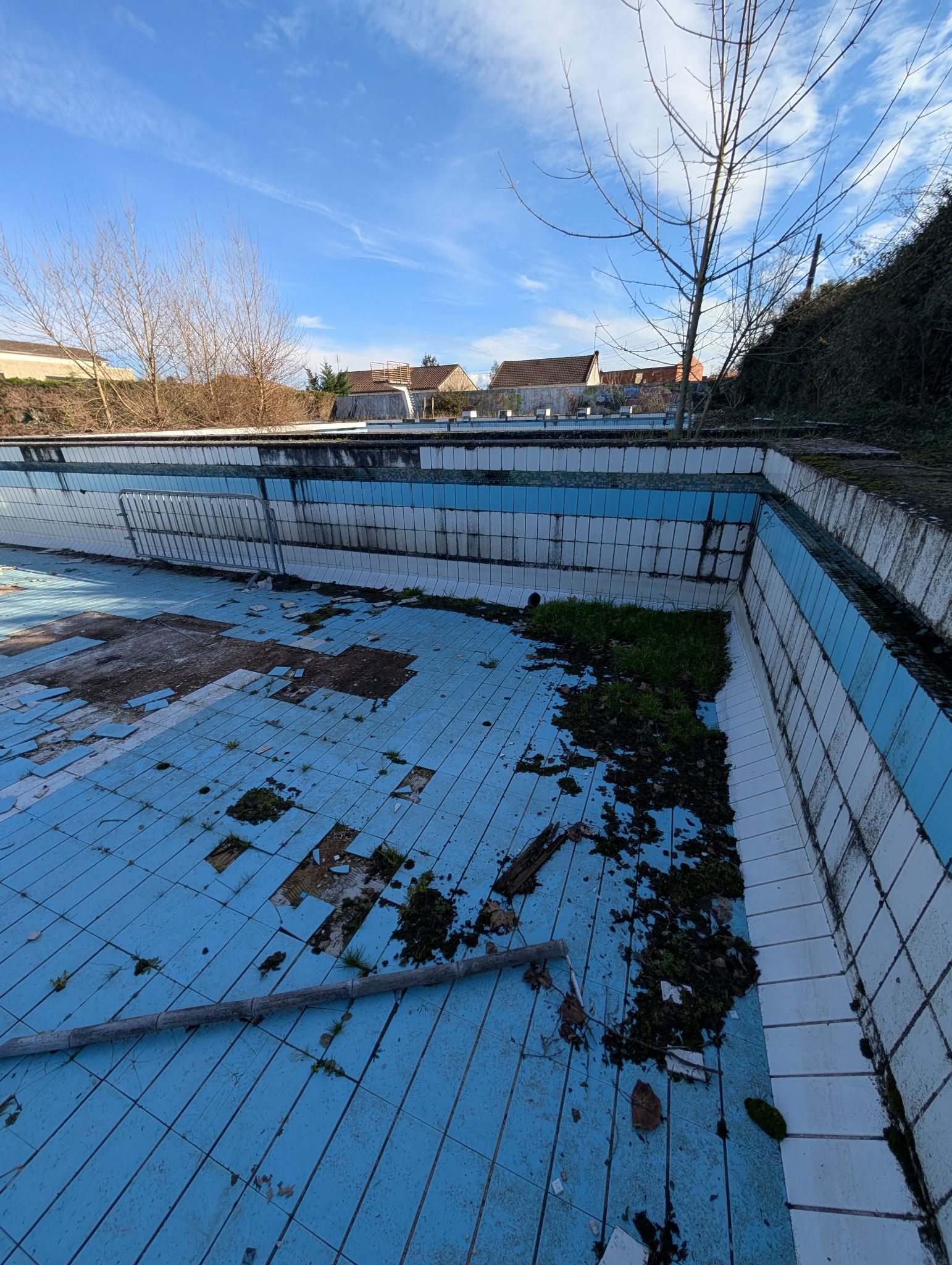 PXL 20260208 140736982