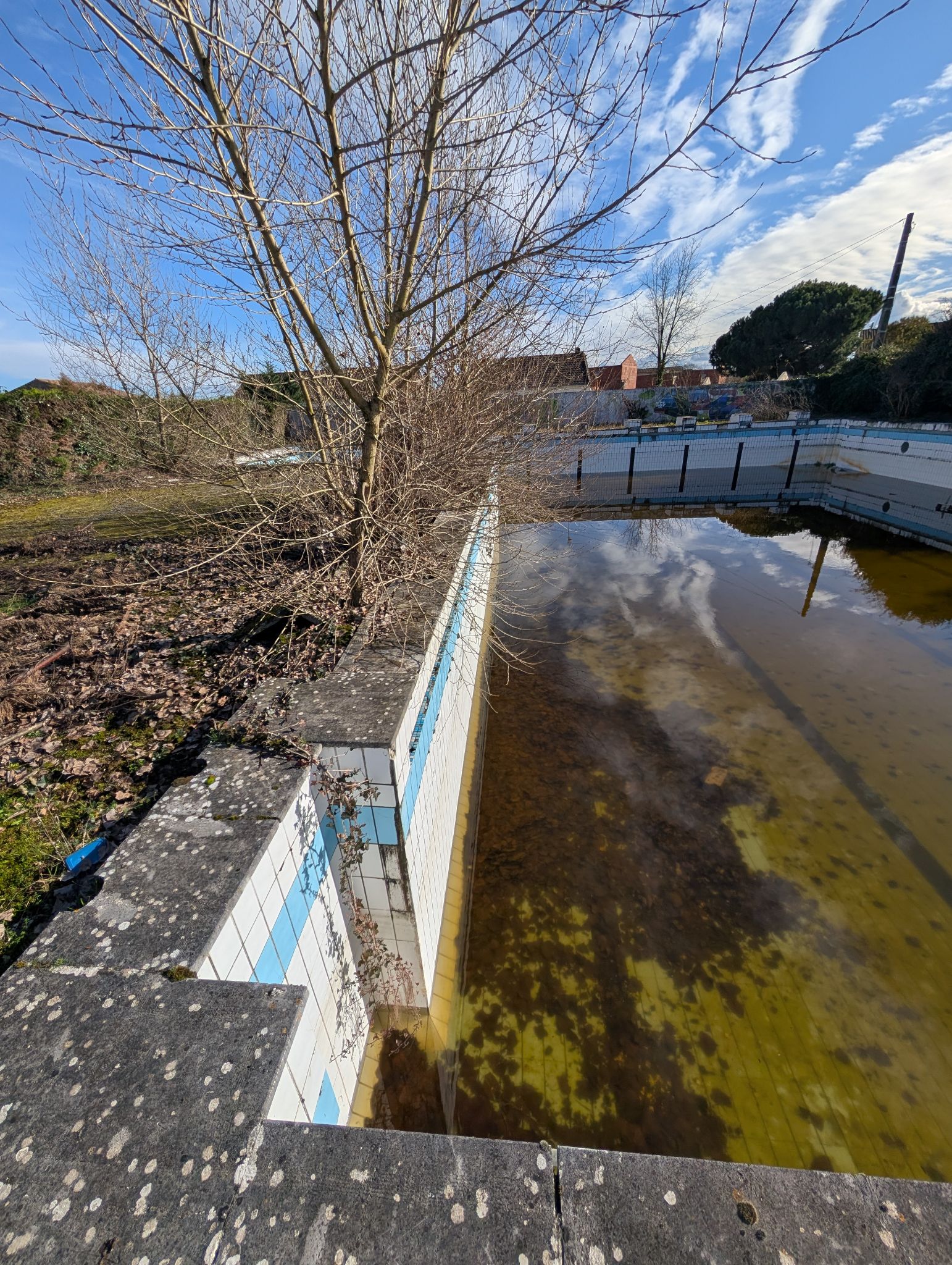 PXL 20260208 140833374