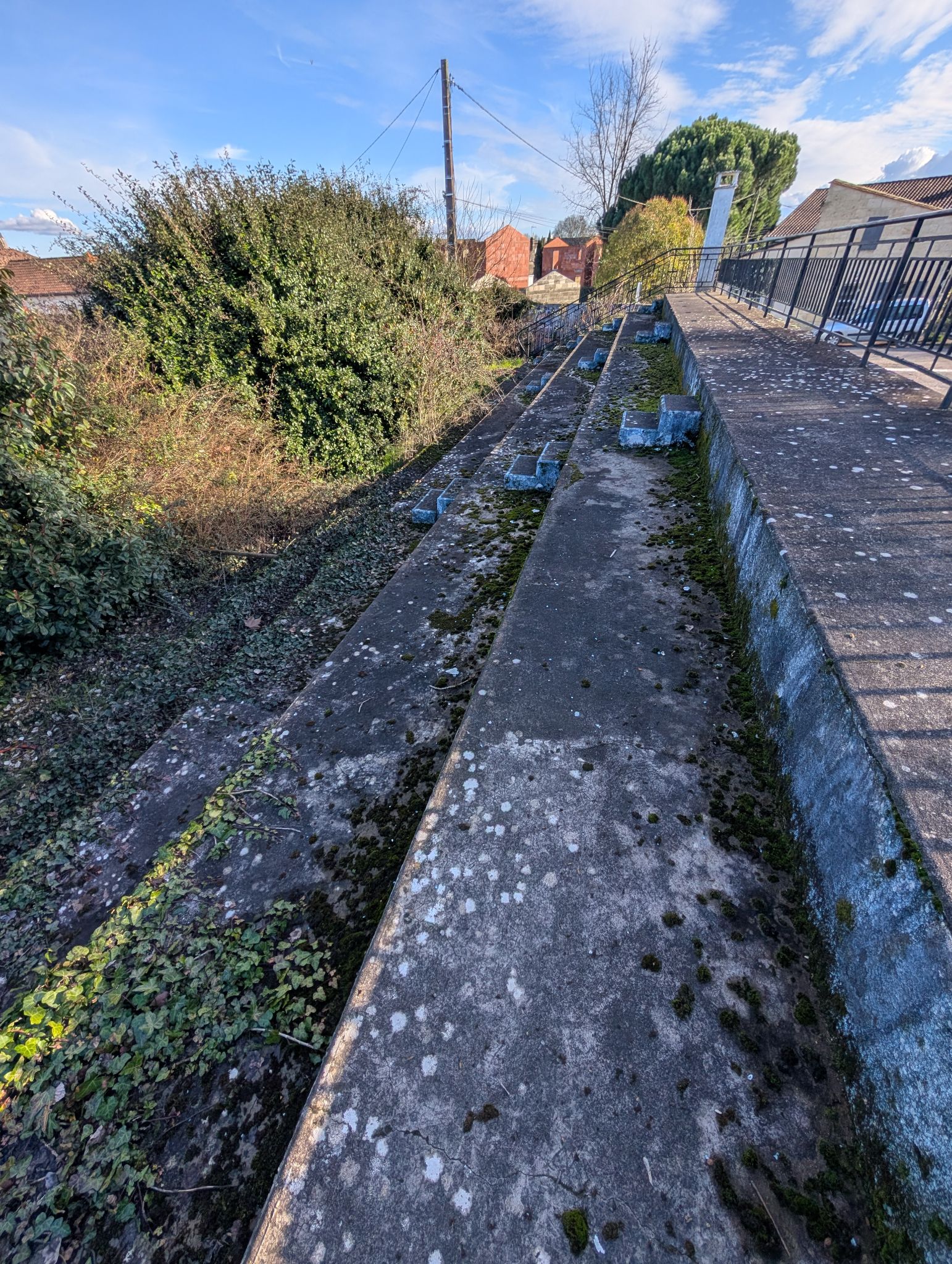 PXL 20260208 141941808