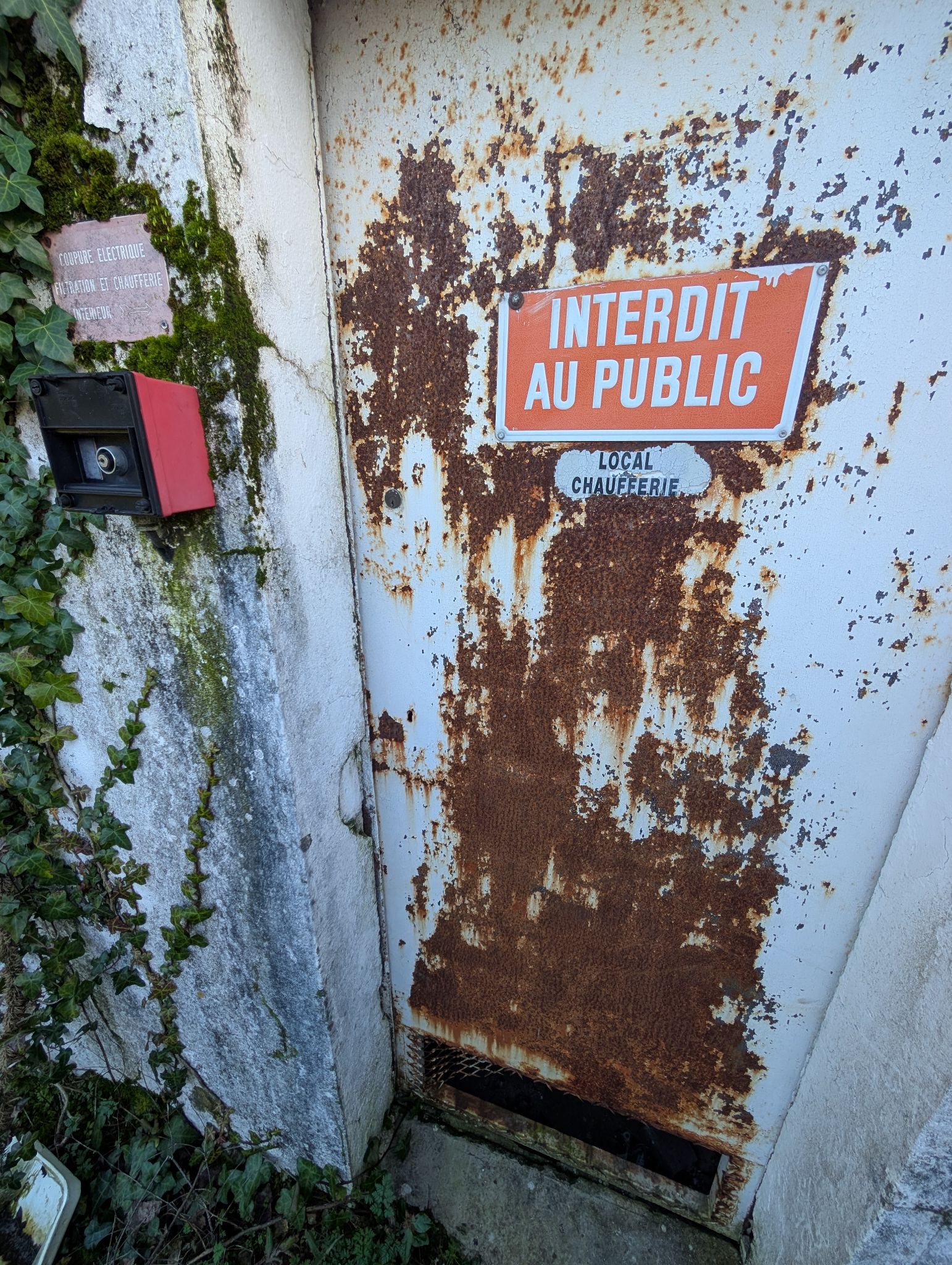 PXL 20260208 142335044