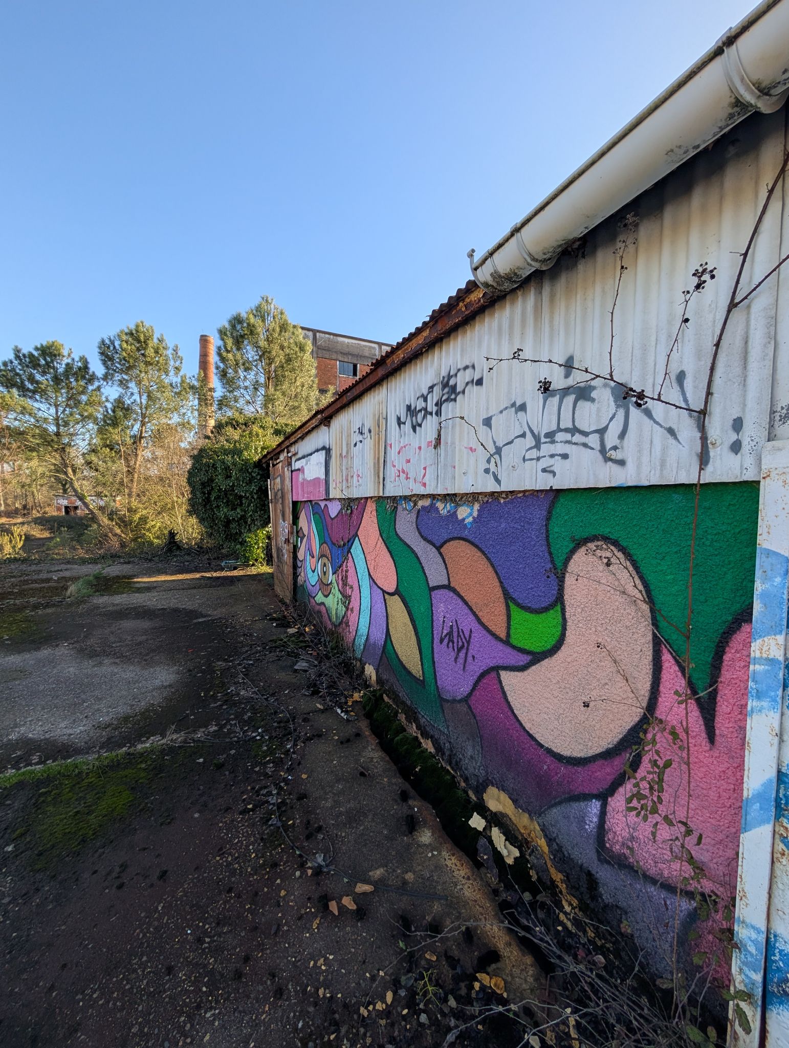 PXL 20260228 153928356