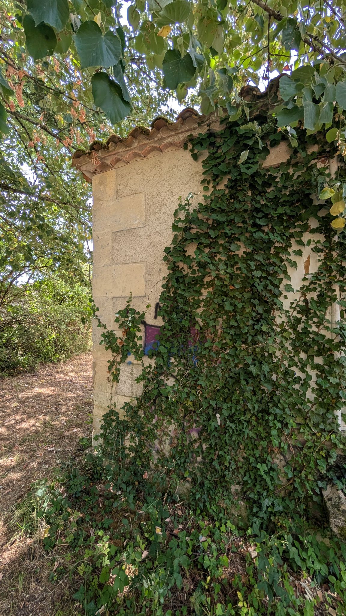 PXL 20260630 094309936