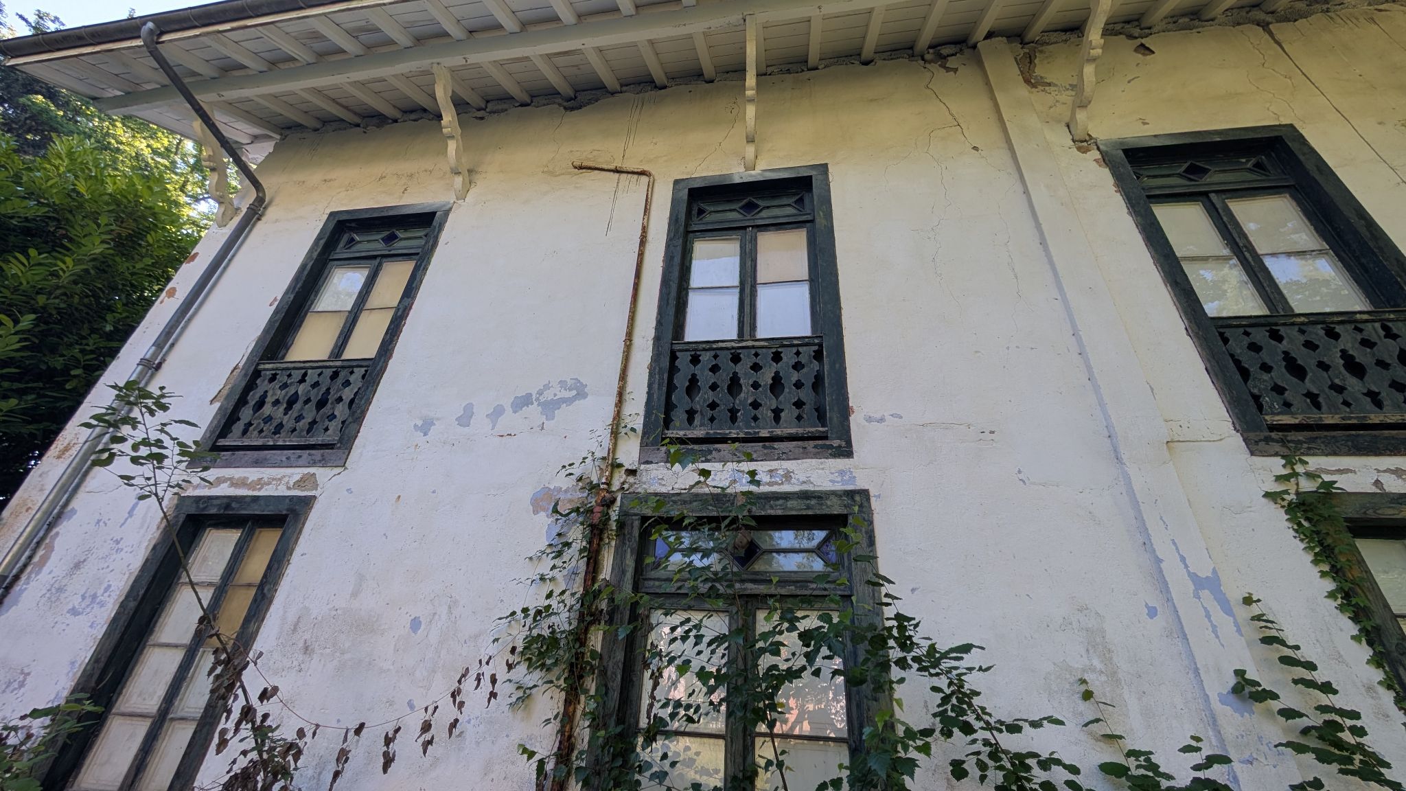 PXL 20260705 074206350