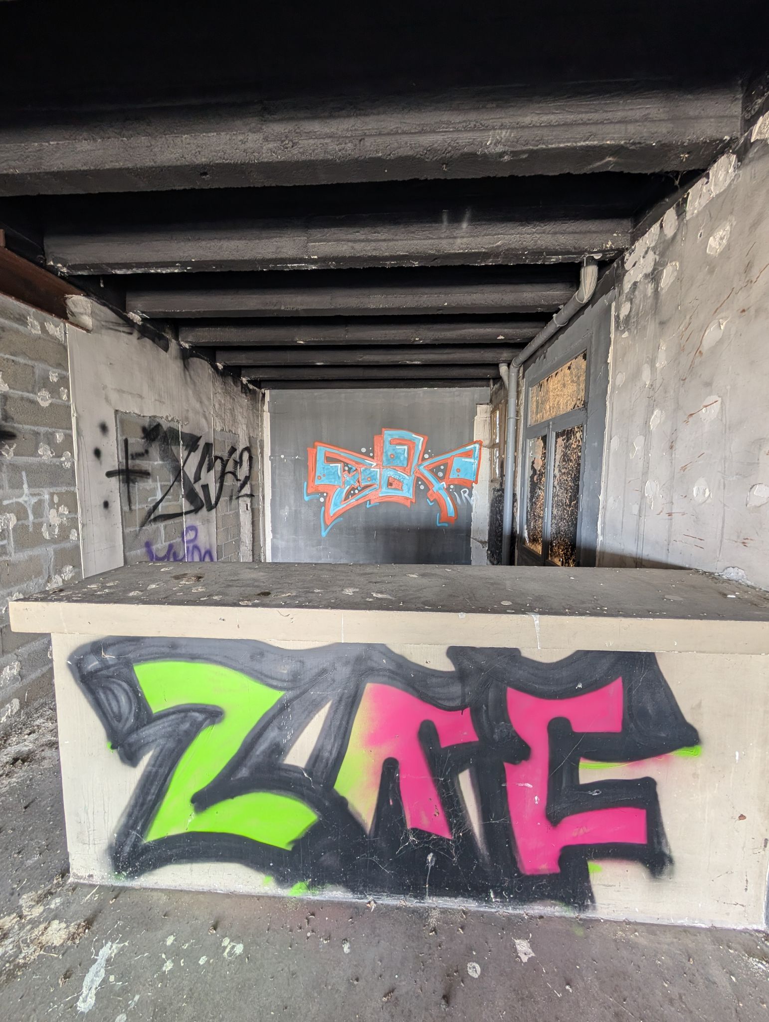 PXL 20260228 123222253