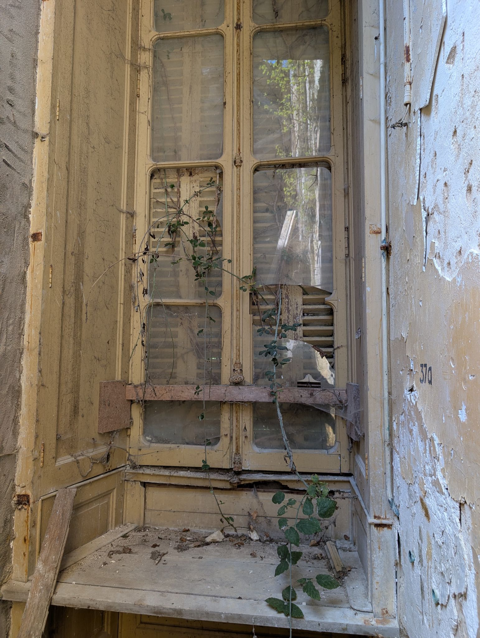 PXL 20260405 121153318