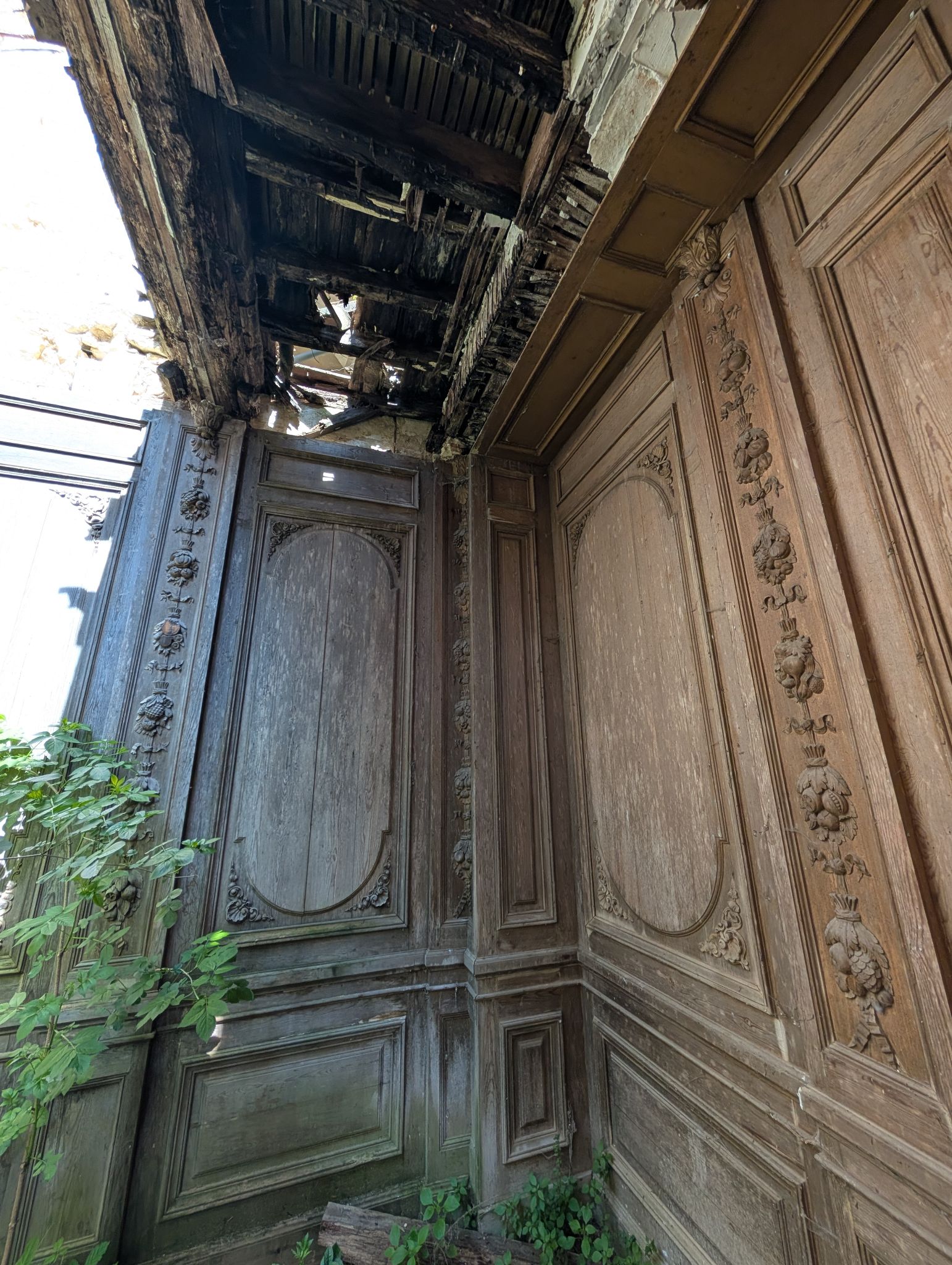 PXL 20260405 121615327