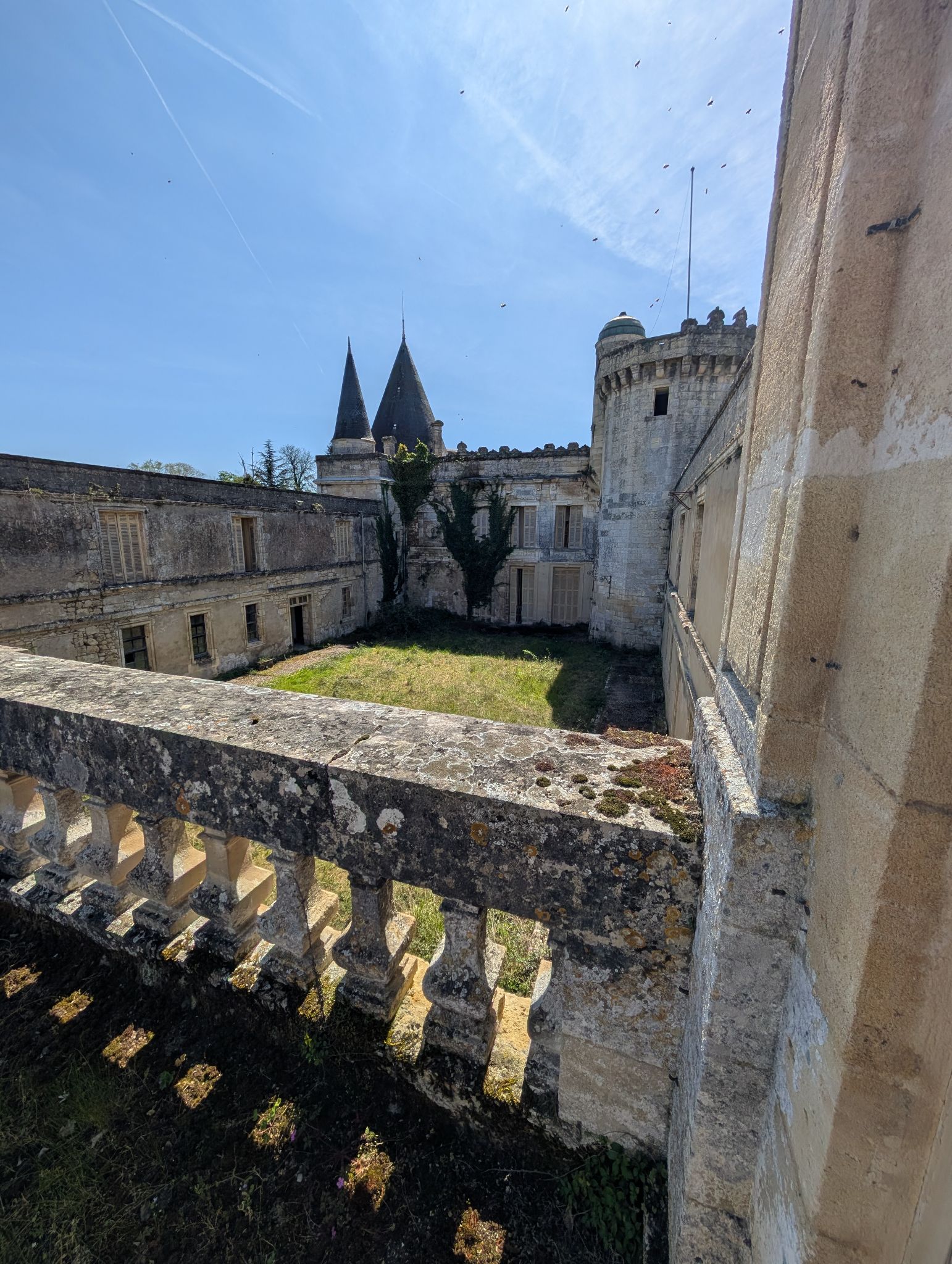 PXL 20260405 121847870