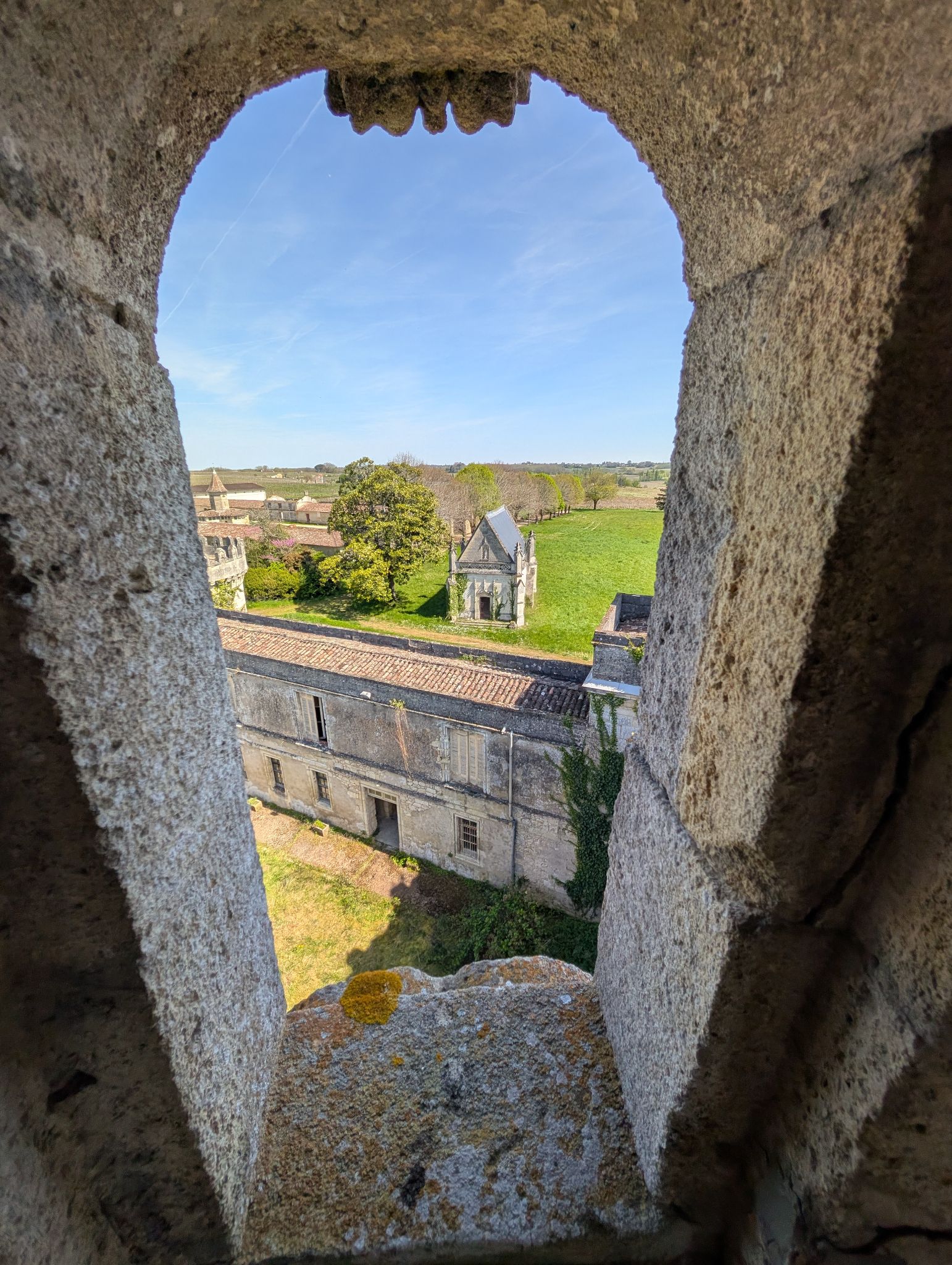 PXL 20260405 122231429