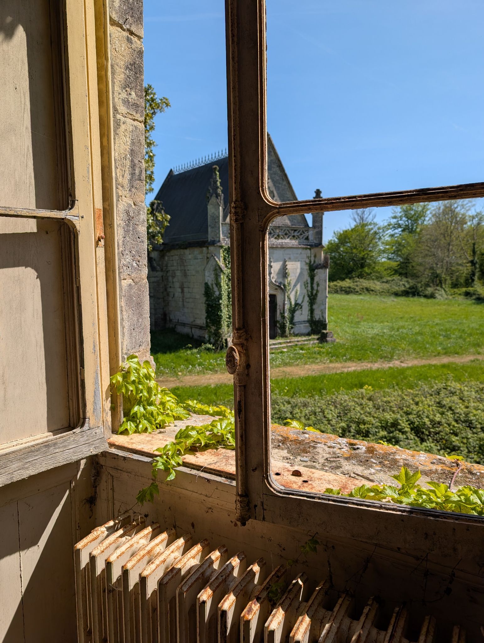 PXL 20260405 122826959