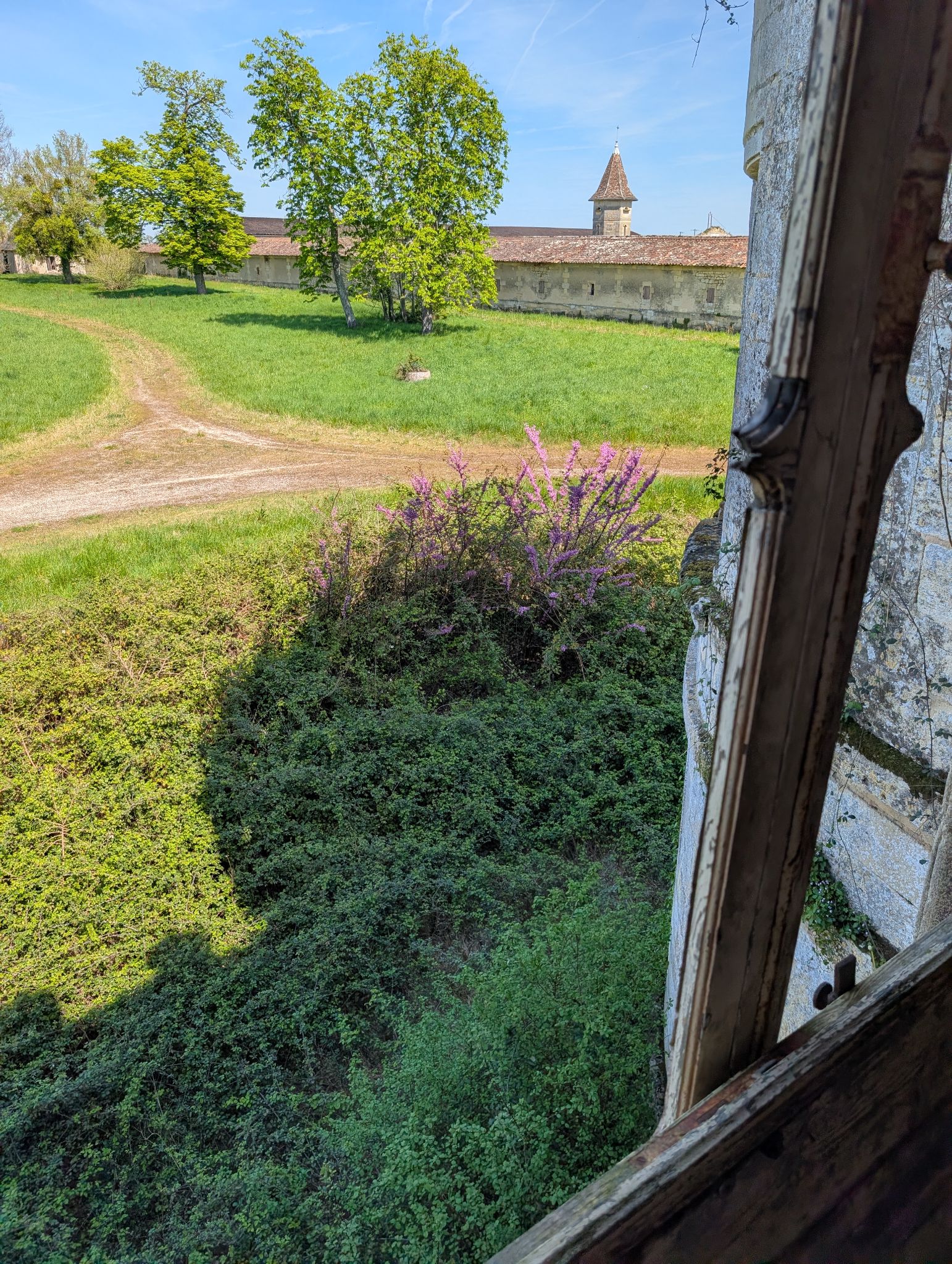 PXL 20260405 122938565